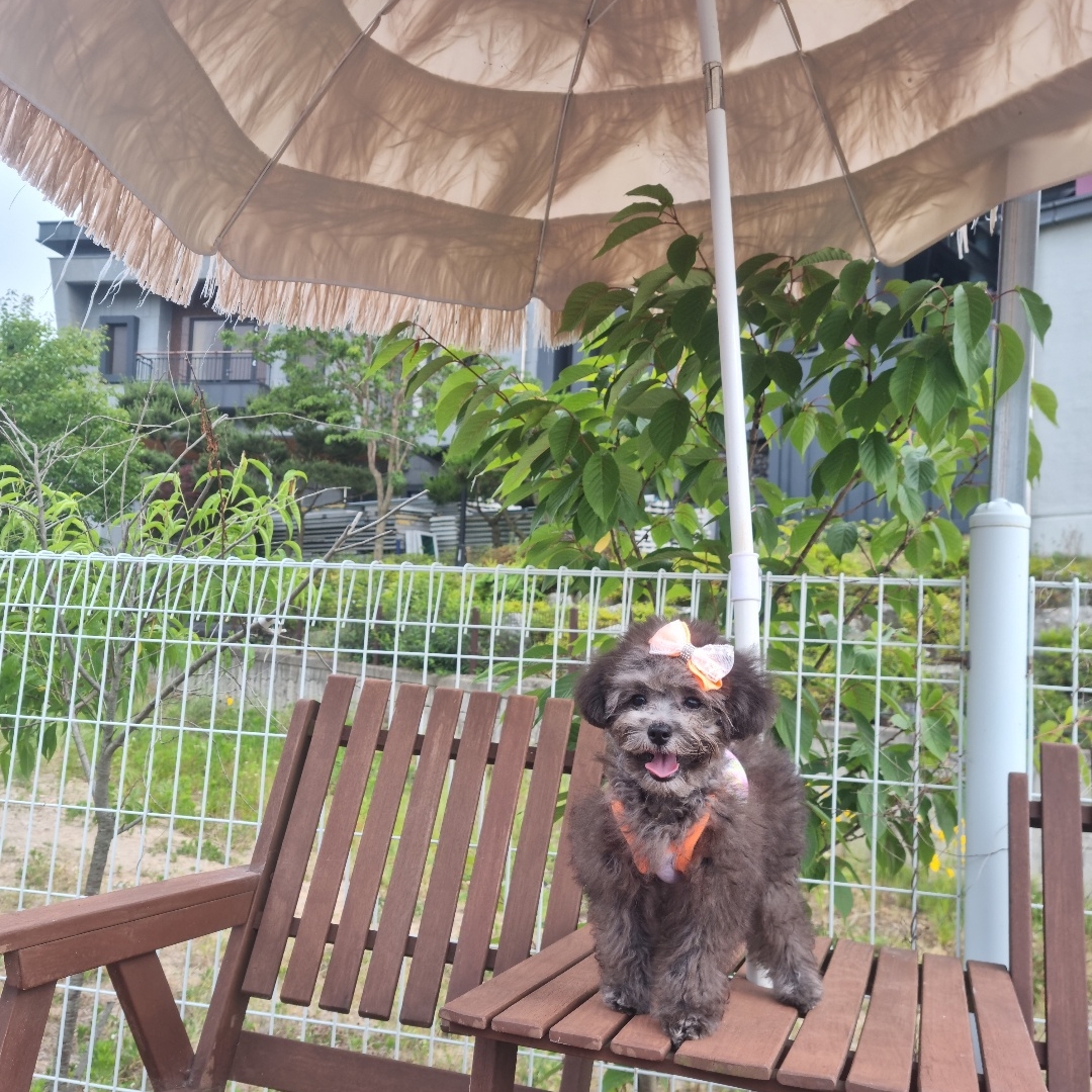 달이님의 스타일 - 1