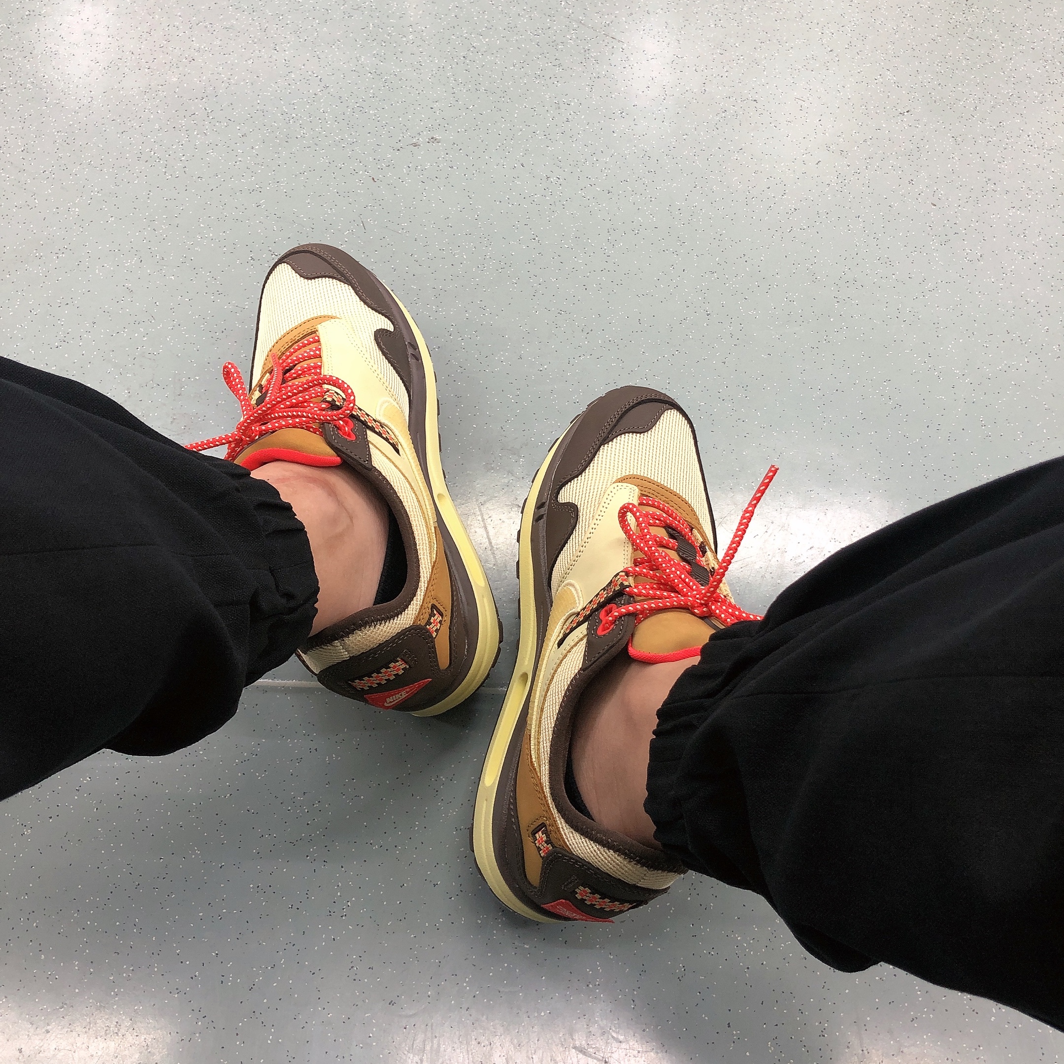 Nike x Travis Scott Air Max 1 Cact.us Brown 착용 스타일