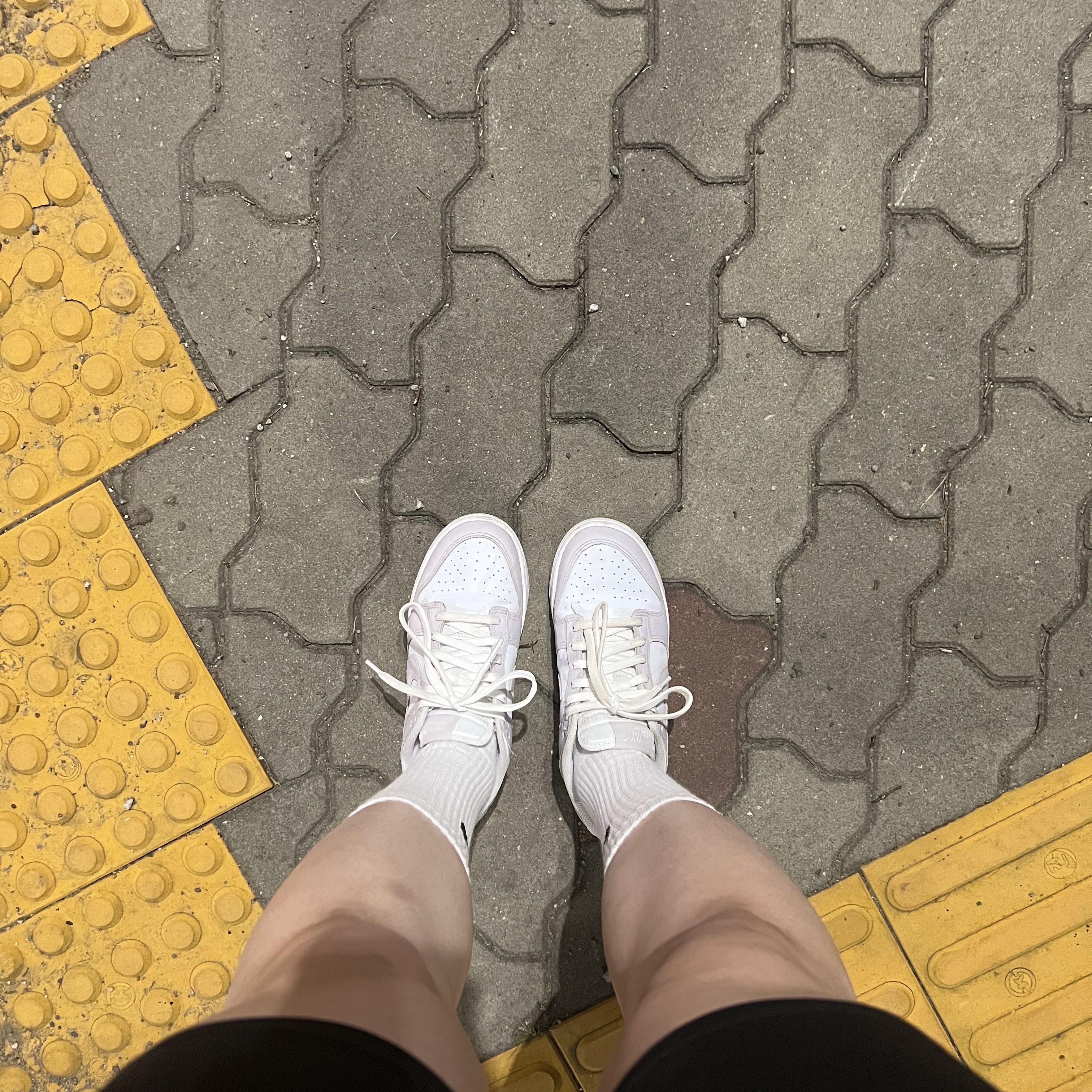 (W) Nike Dunk Low Venice 착용 스타일