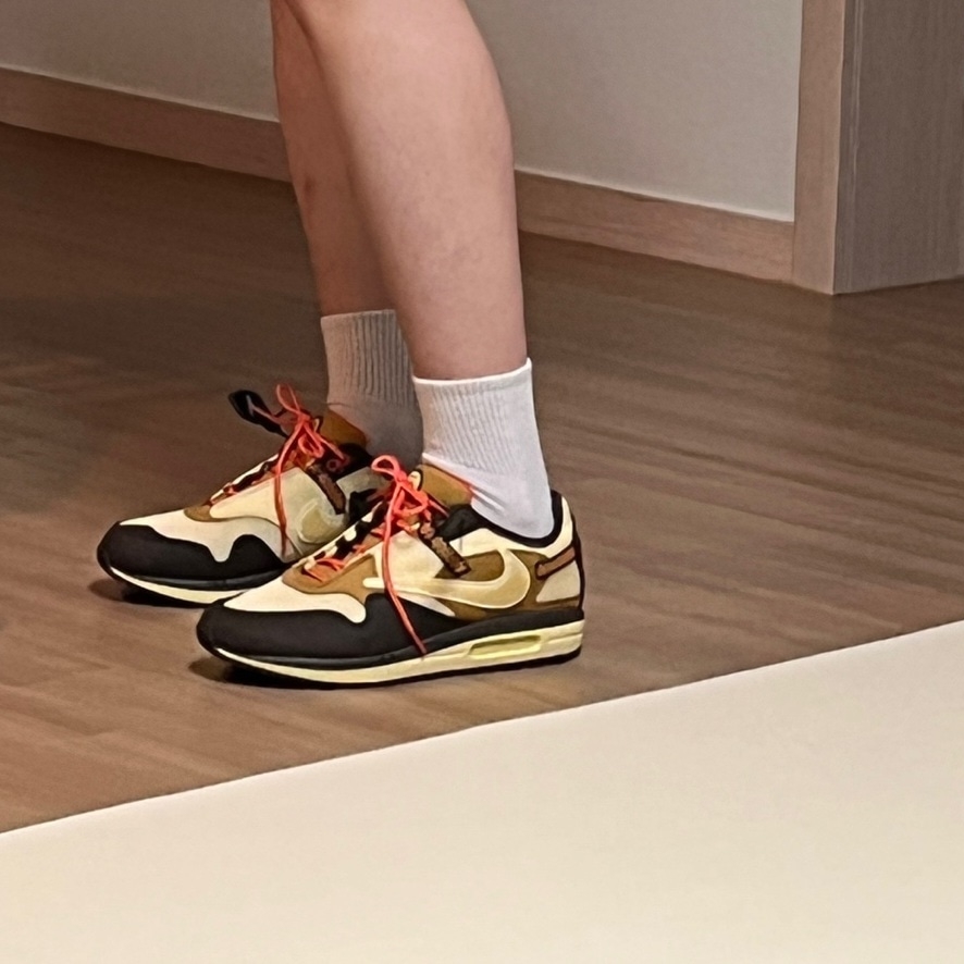 Nike x Travis Scott Air Max 1 Cact.us Brown 착용 스타일