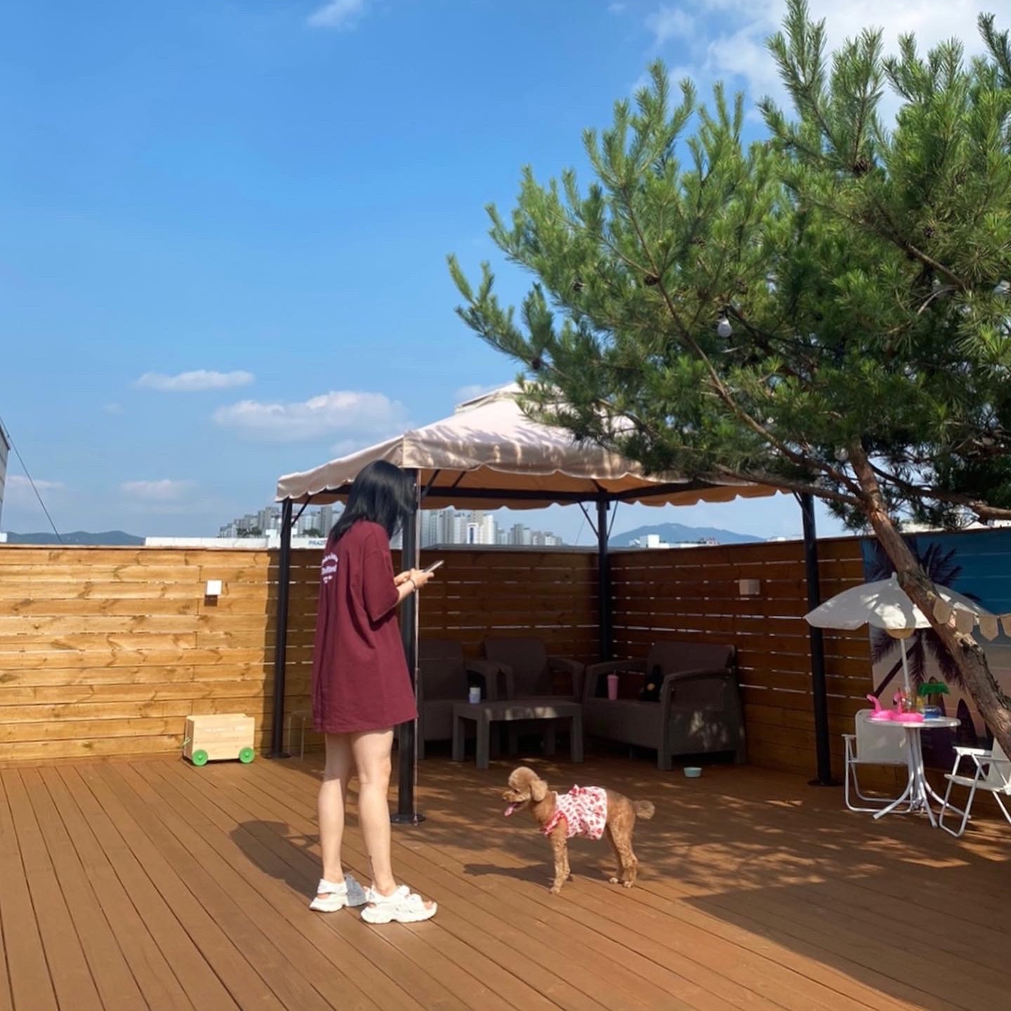 몌님의 스타일 - 1