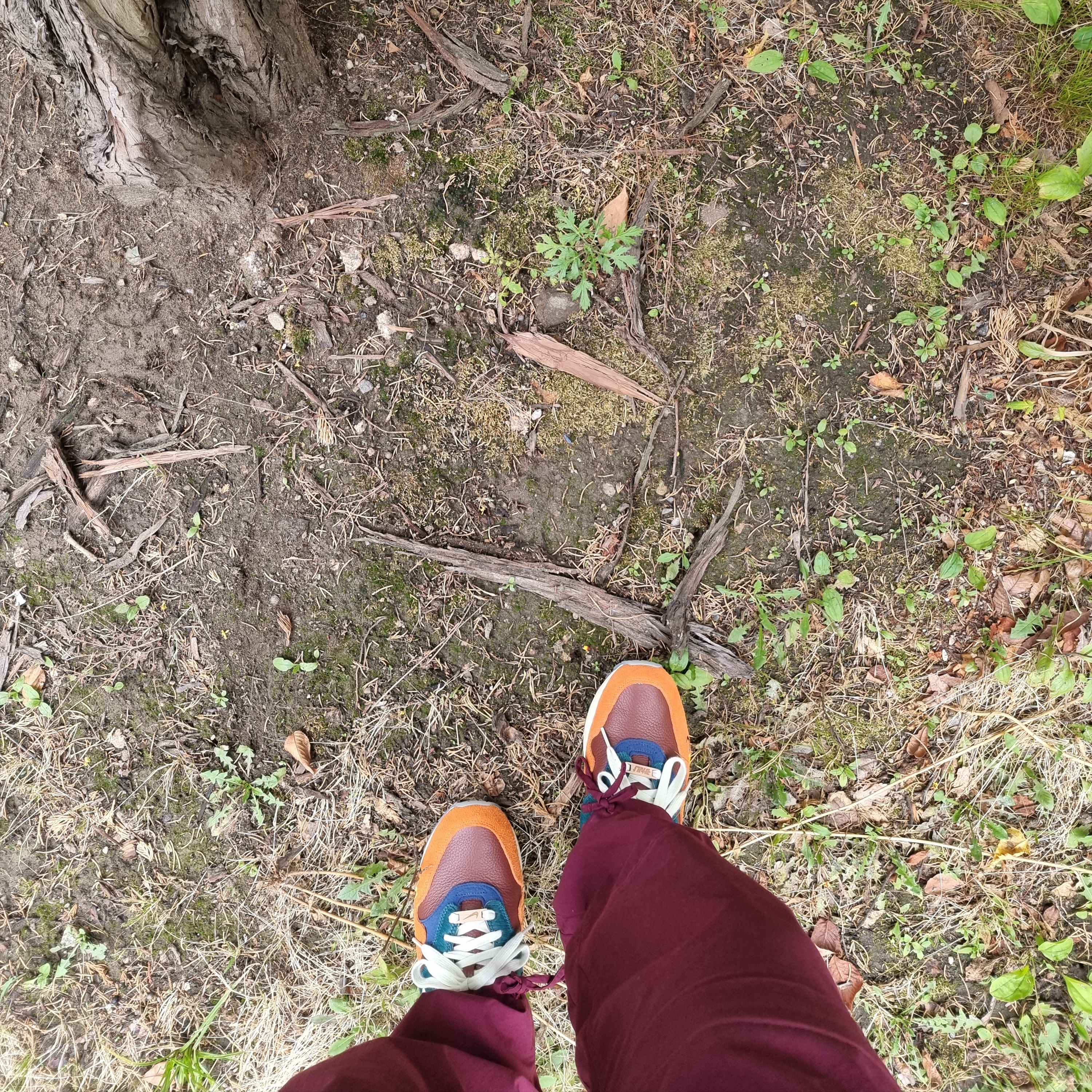 Nike x Kasina Air Max 1 SP Won-Ang Orange 착용 스타일 - 2