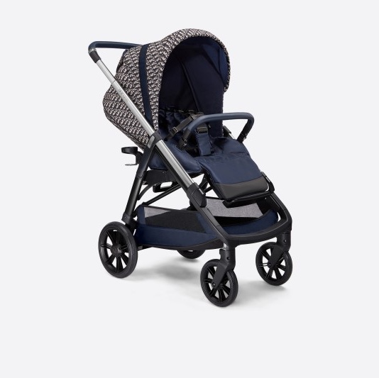Dior Stroller Blue and Beige Water-Repellent Canvas with Dior Oblique Print (Korean Ver.) 착용 스타일 - 5