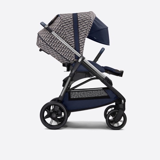 Dior Stroller Blue and Beige Water-Repellent Canvas with Dior Oblique Print (Korean Ver.) 착용 스타일 - 2