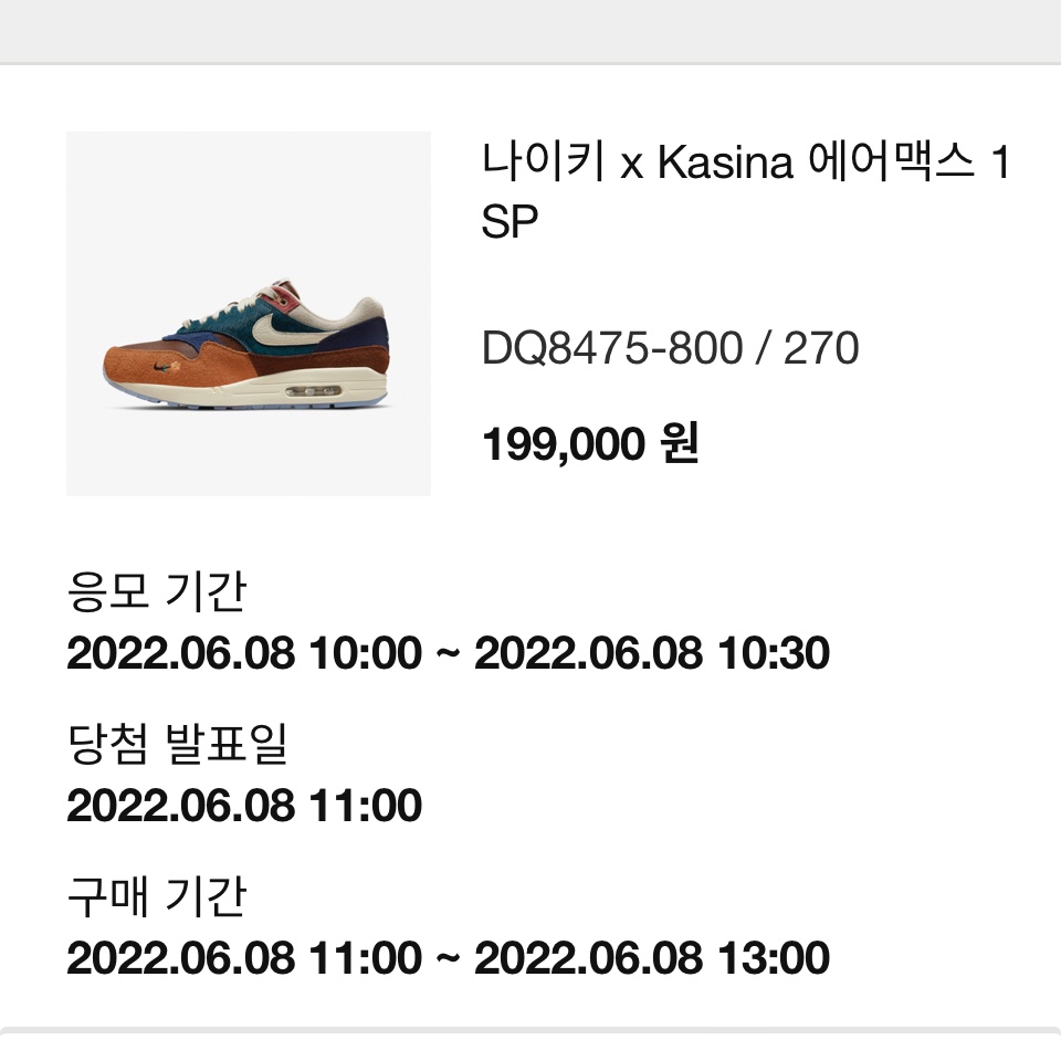 Nike x Kasina Air Max 1 SP Won-Ang Orange 착용 스타일