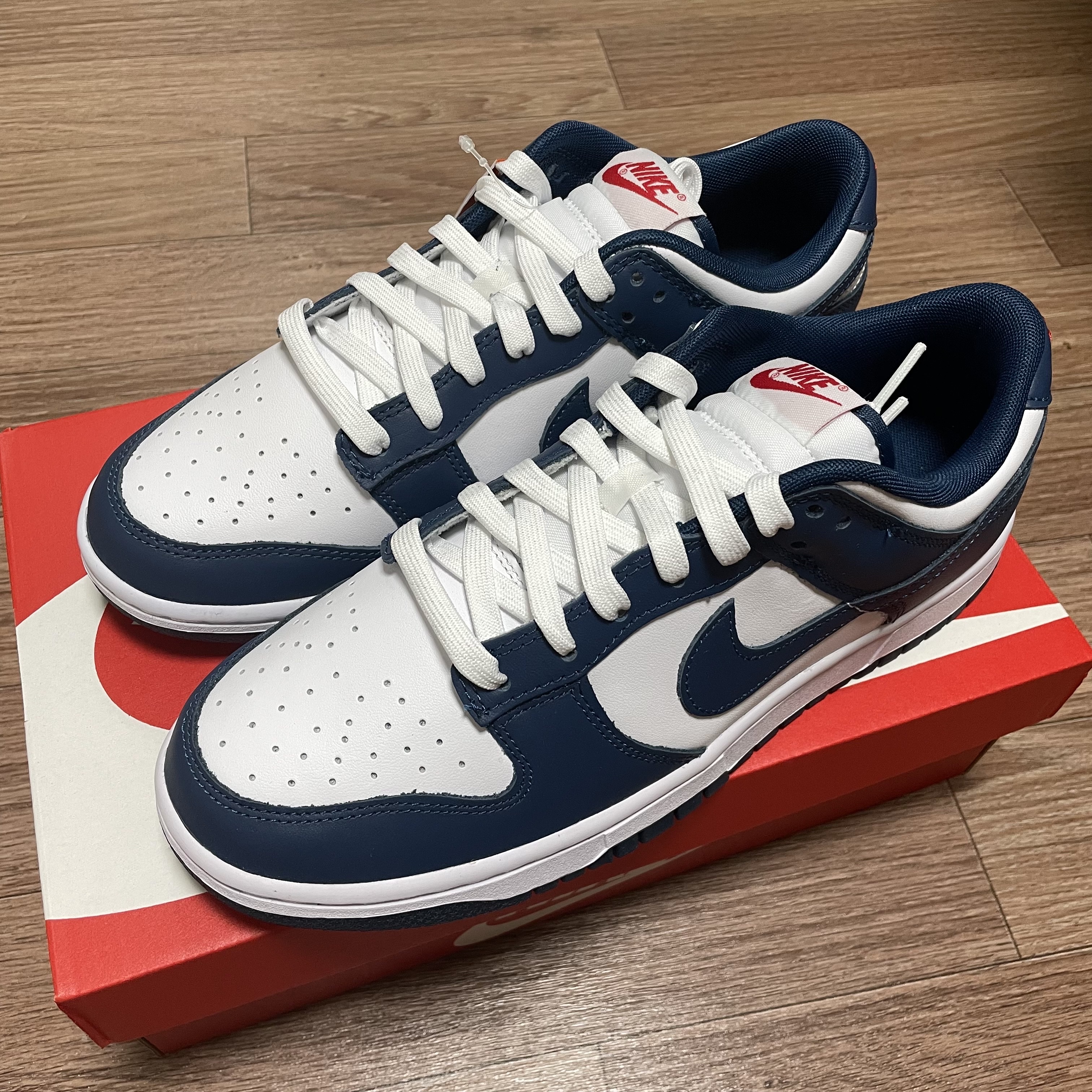 Nike Dunk Low Retro Valerian Blue 착용 스타일