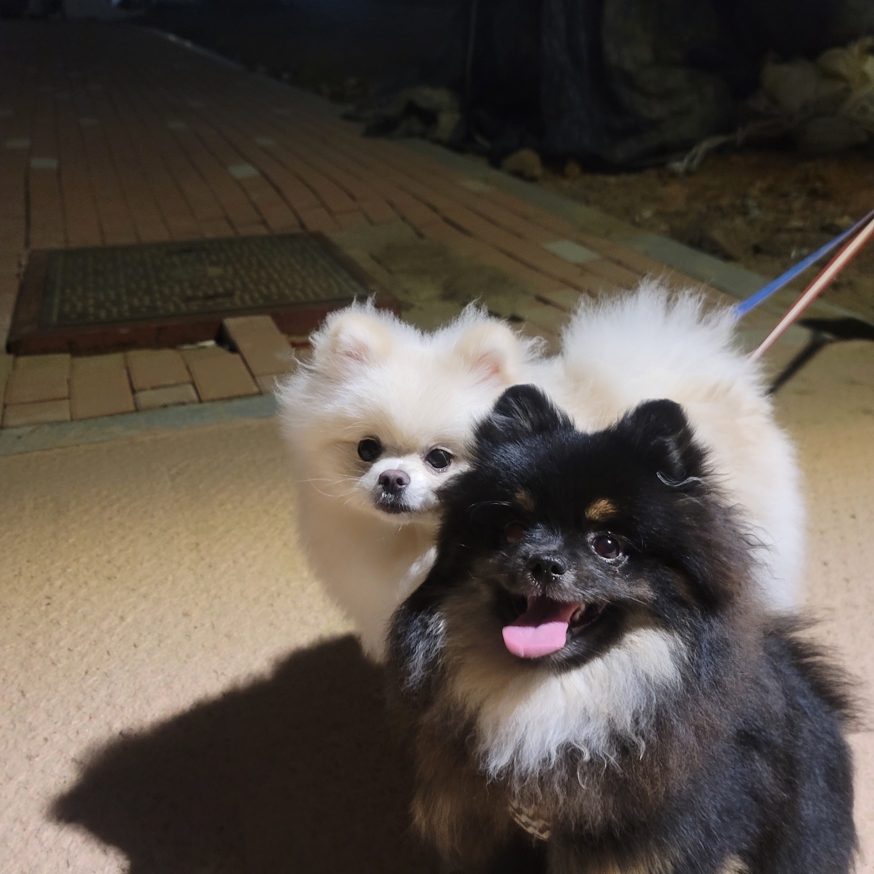 김성록님의 스타일