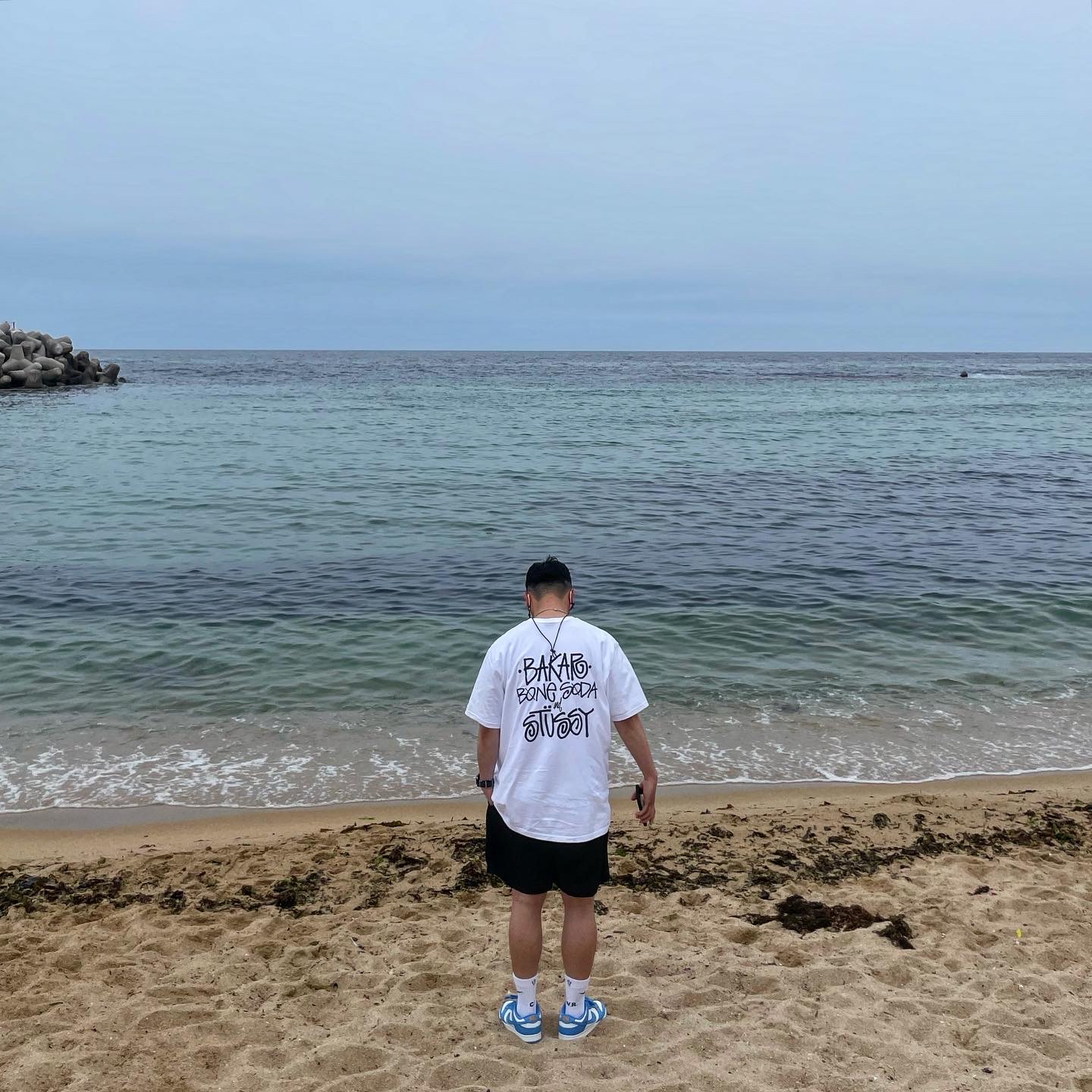 Stussy Big Stock Water Shorts Black, Stussy Nobody's Home T-Shirt White 착용 스타일
