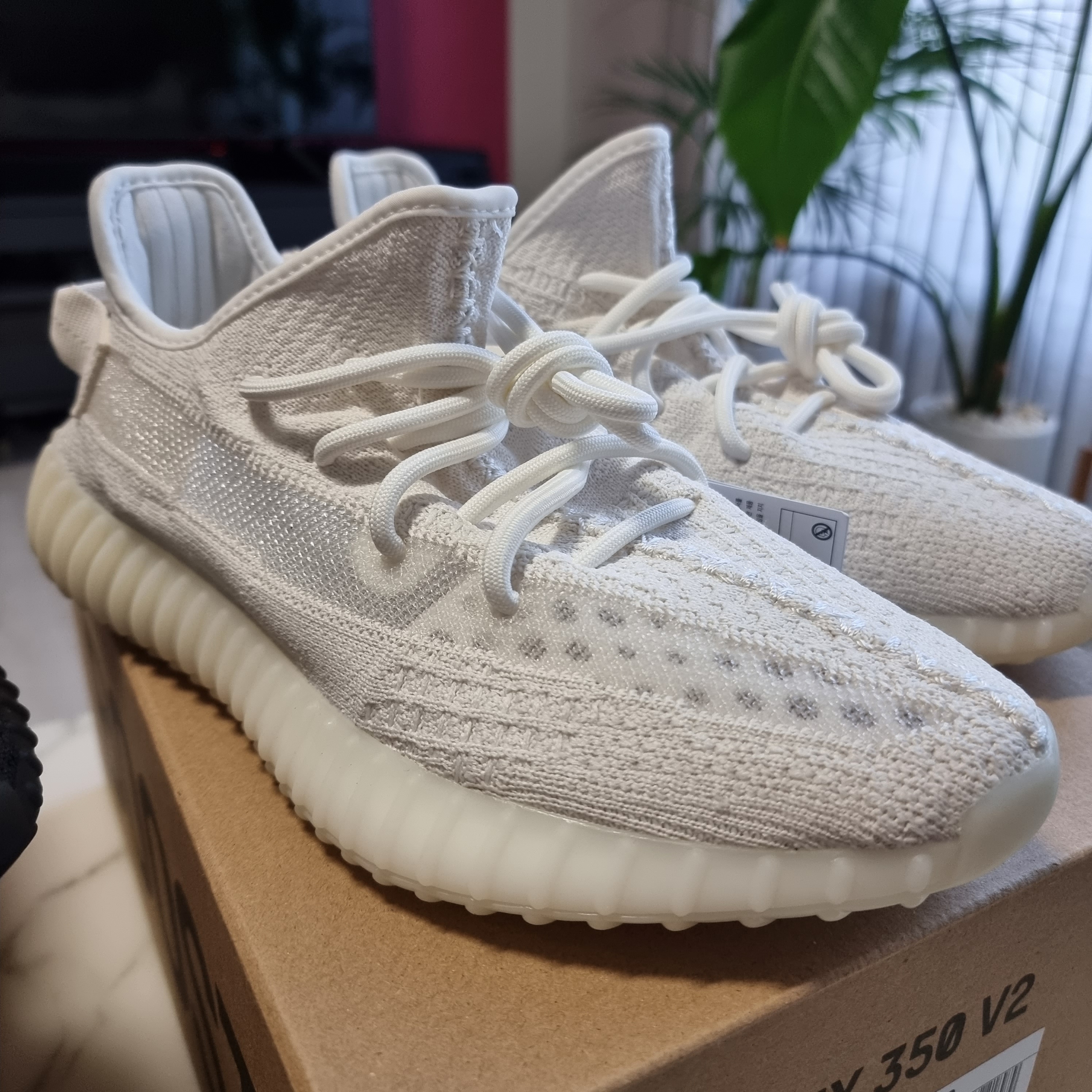 Adidas Yeezy Boost 350 V2 Bone 착용 스타일 - 2