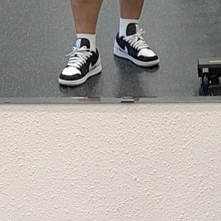 Jordan 1 Low SE Diamond 착용 스타일