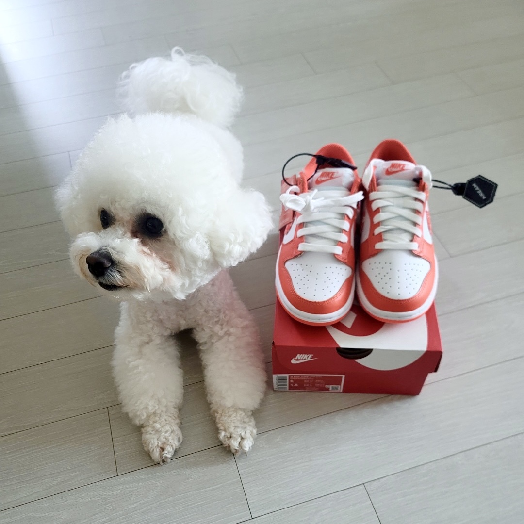 (W) Nike Dunk Low Essential Orange Paisley 착용 스타일 - 1