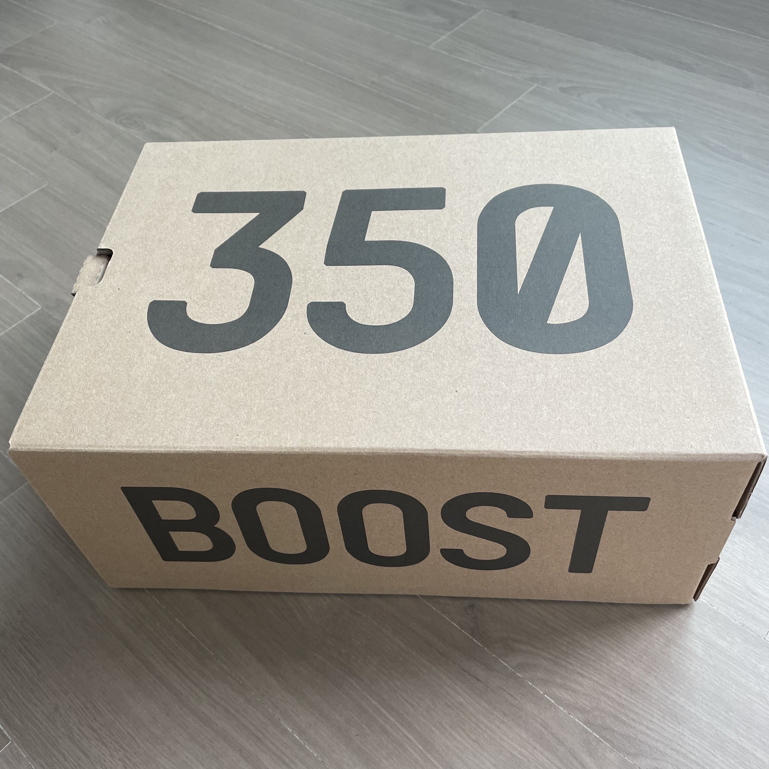 Adidas Yeezy Boost 350 V2 Bone 착용 스타일 - 2