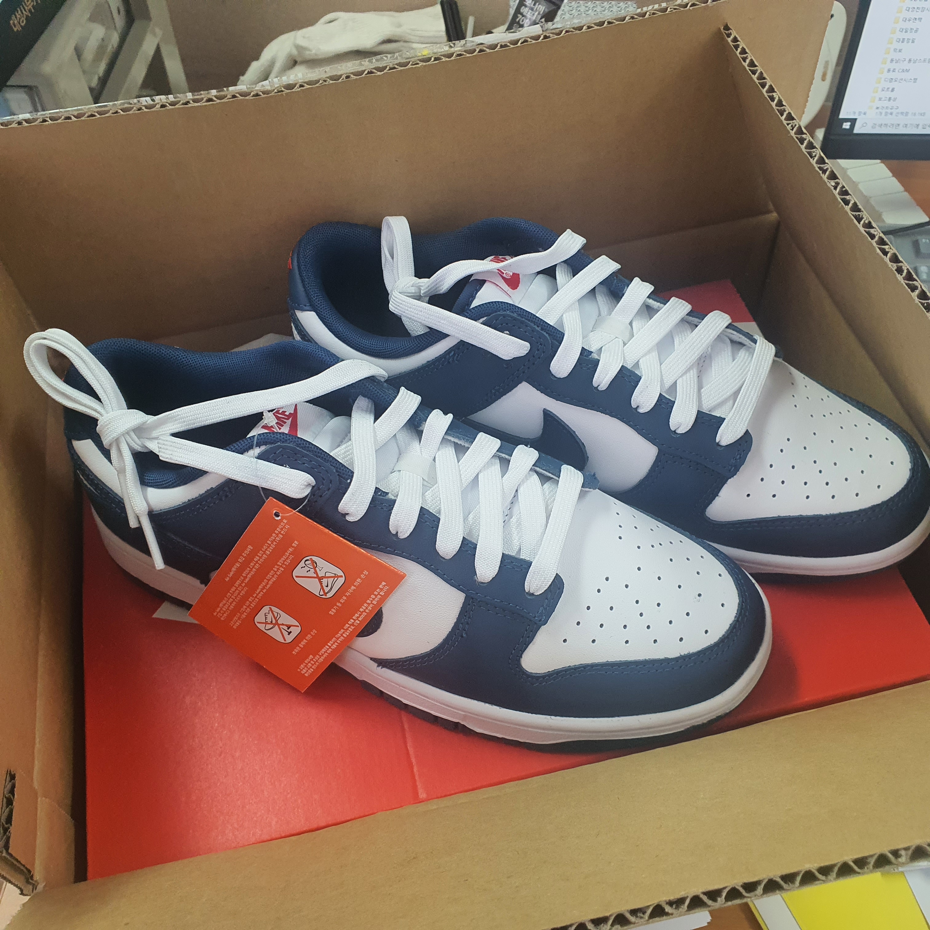 Nike Dunk Low Retro Valerian Blue 착용 스타일