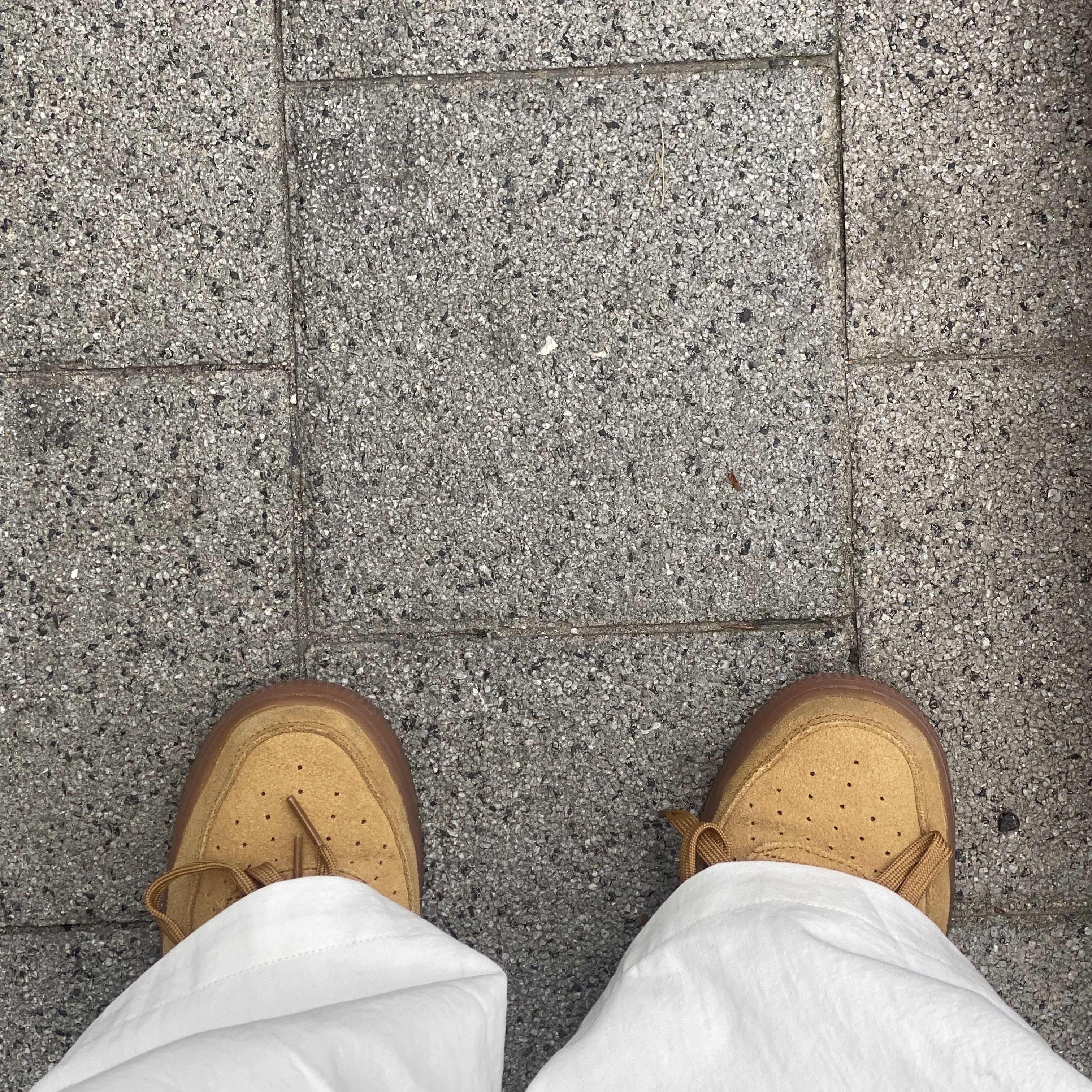 (GS) Nike Air Force 1 LV8 3 Wheat 착용 스타일