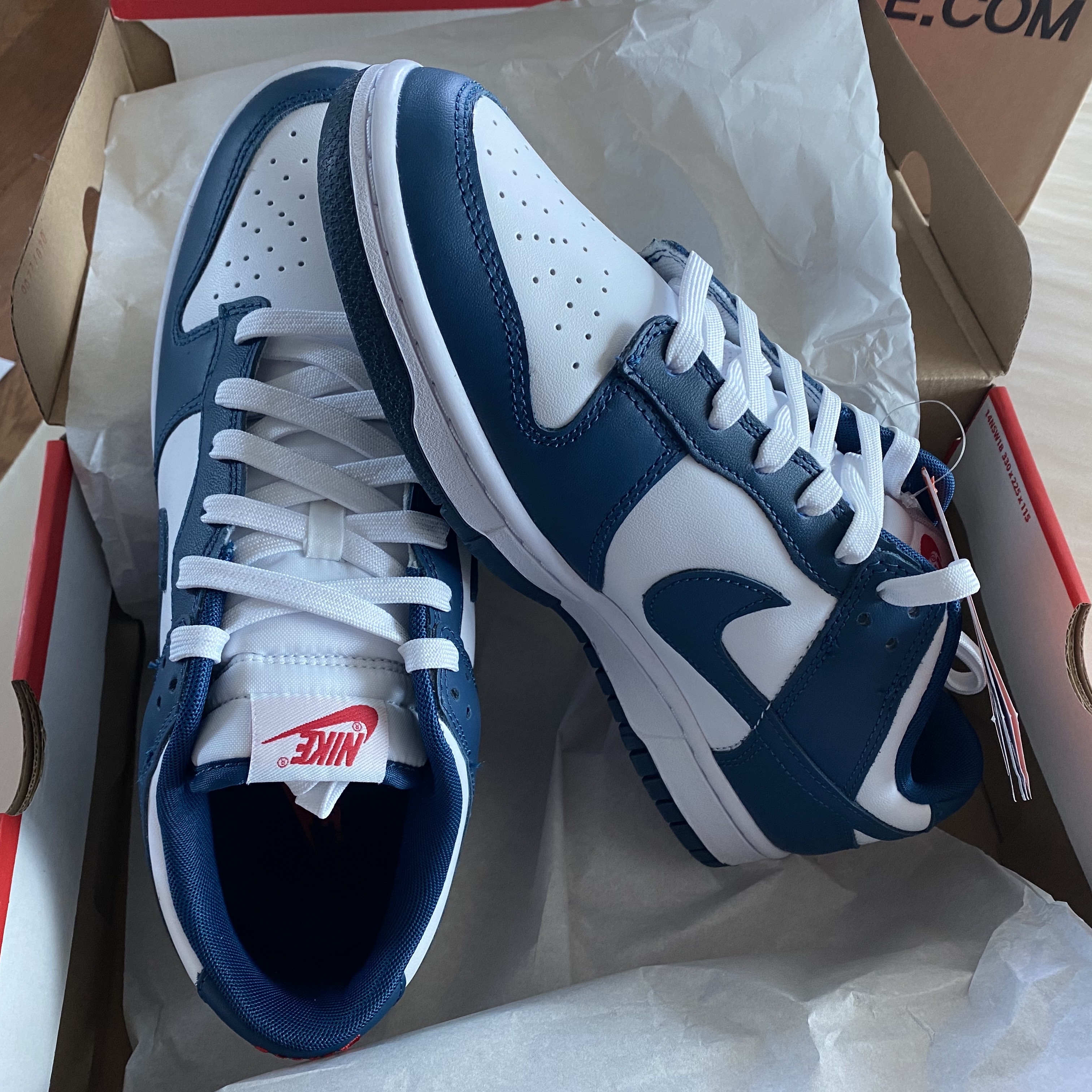 Nike Dunk Low Retro Valerian Blue 착용 스타일