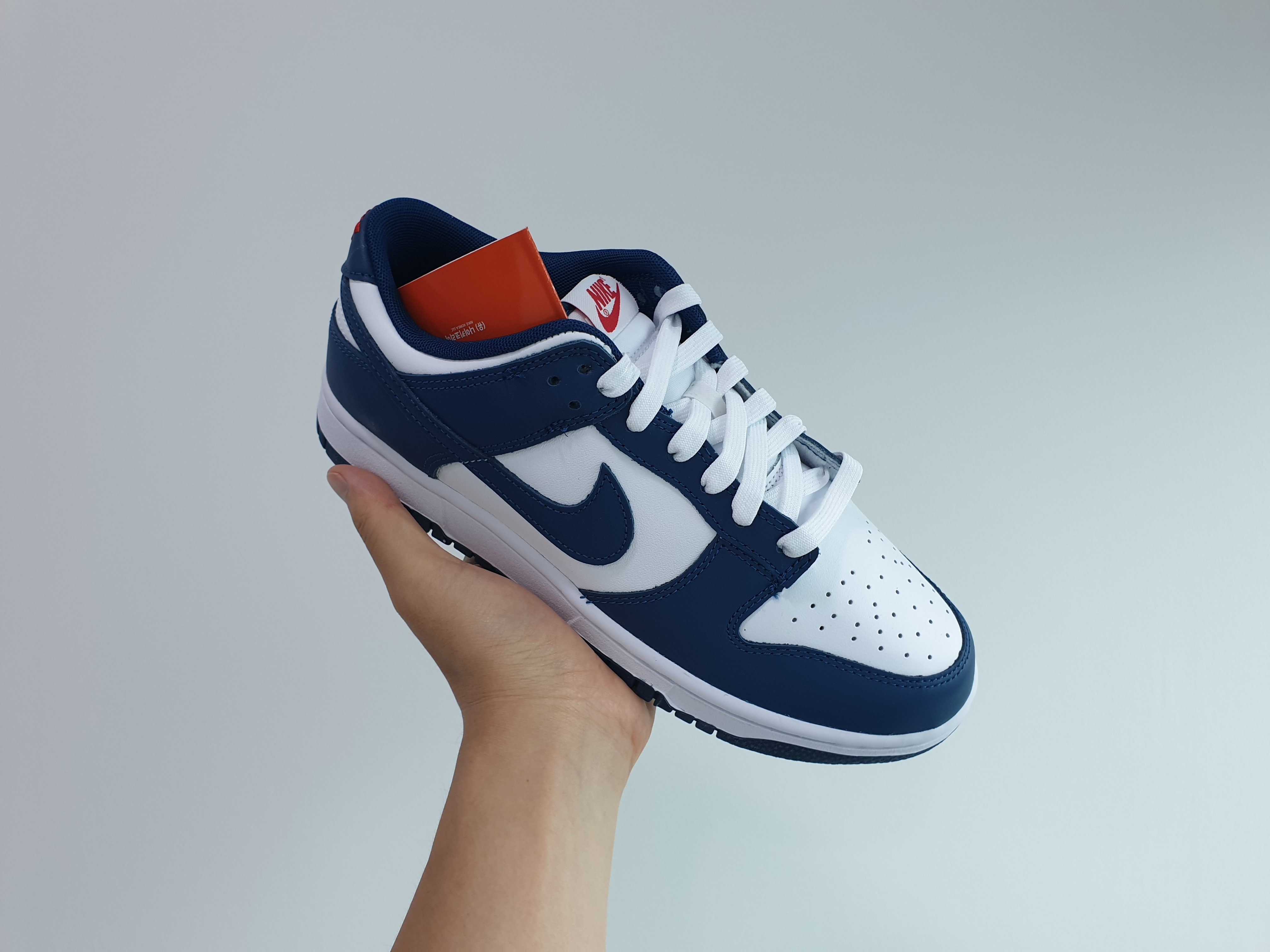 Nike Dunk Low Retro Valerian Blue 착용 스타일