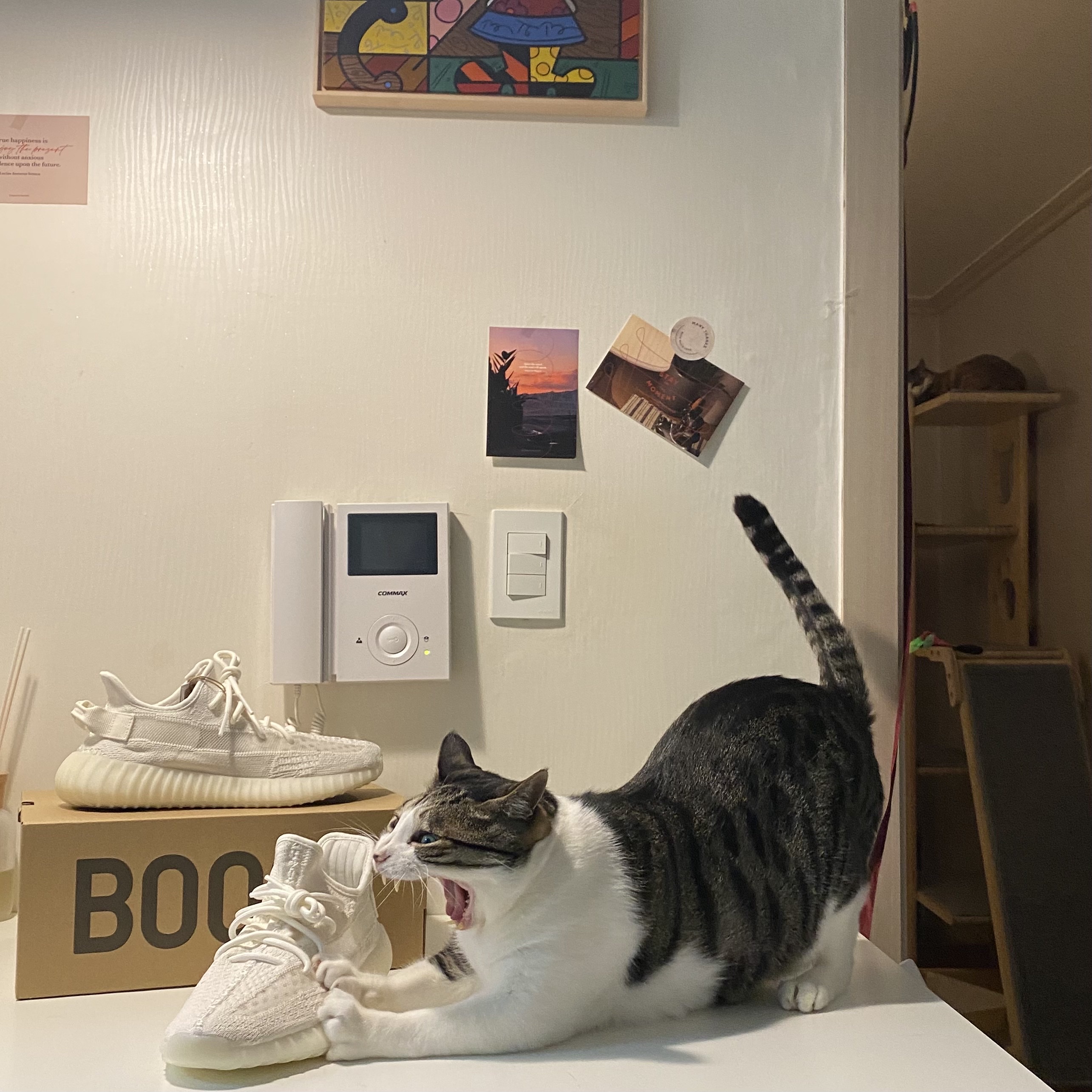 Adidas Yeezy Boost 350 V2 Bone 착용 스타일 - 1