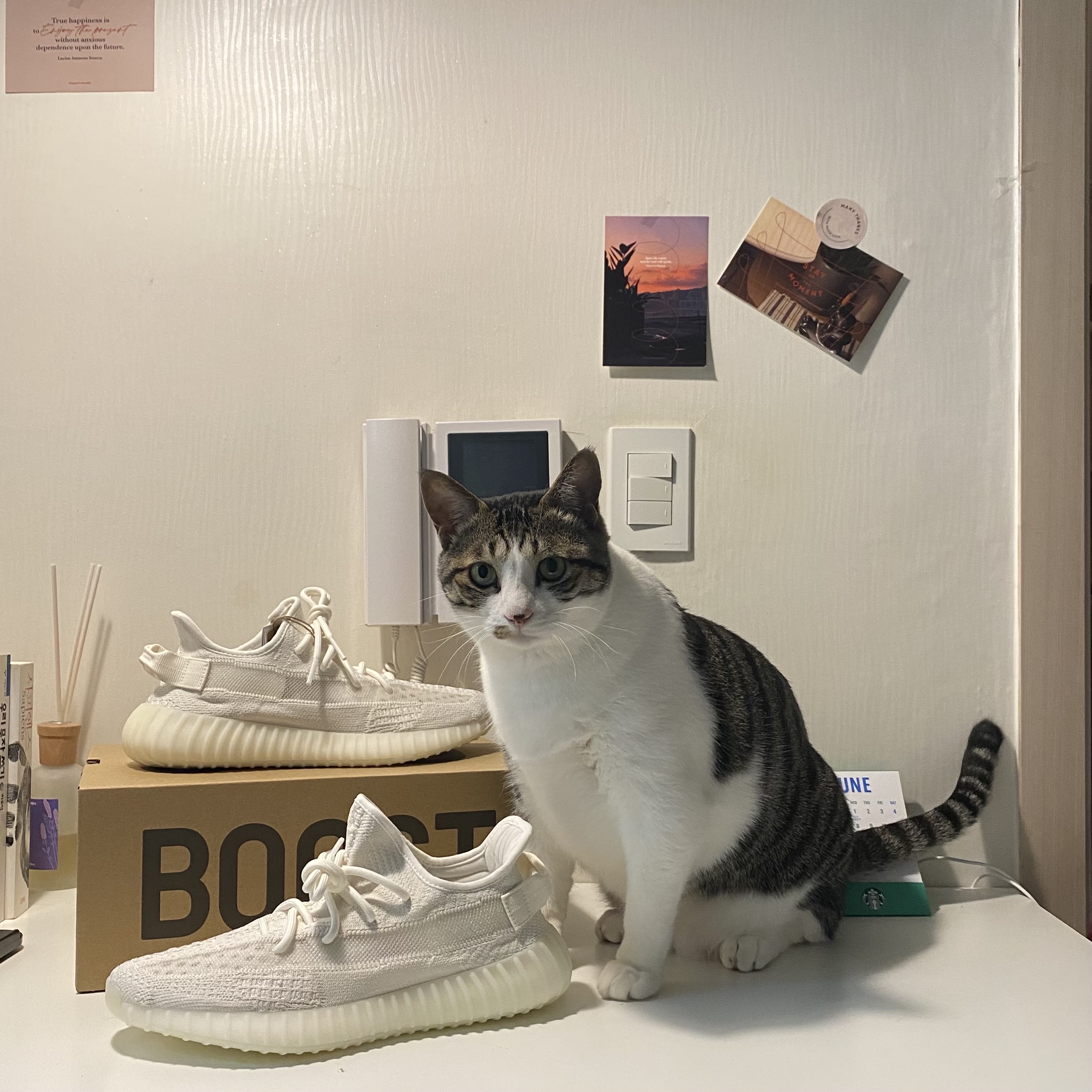 Adidas Yeezy Boost 350 V2 Bone 착용 스타일 - 3