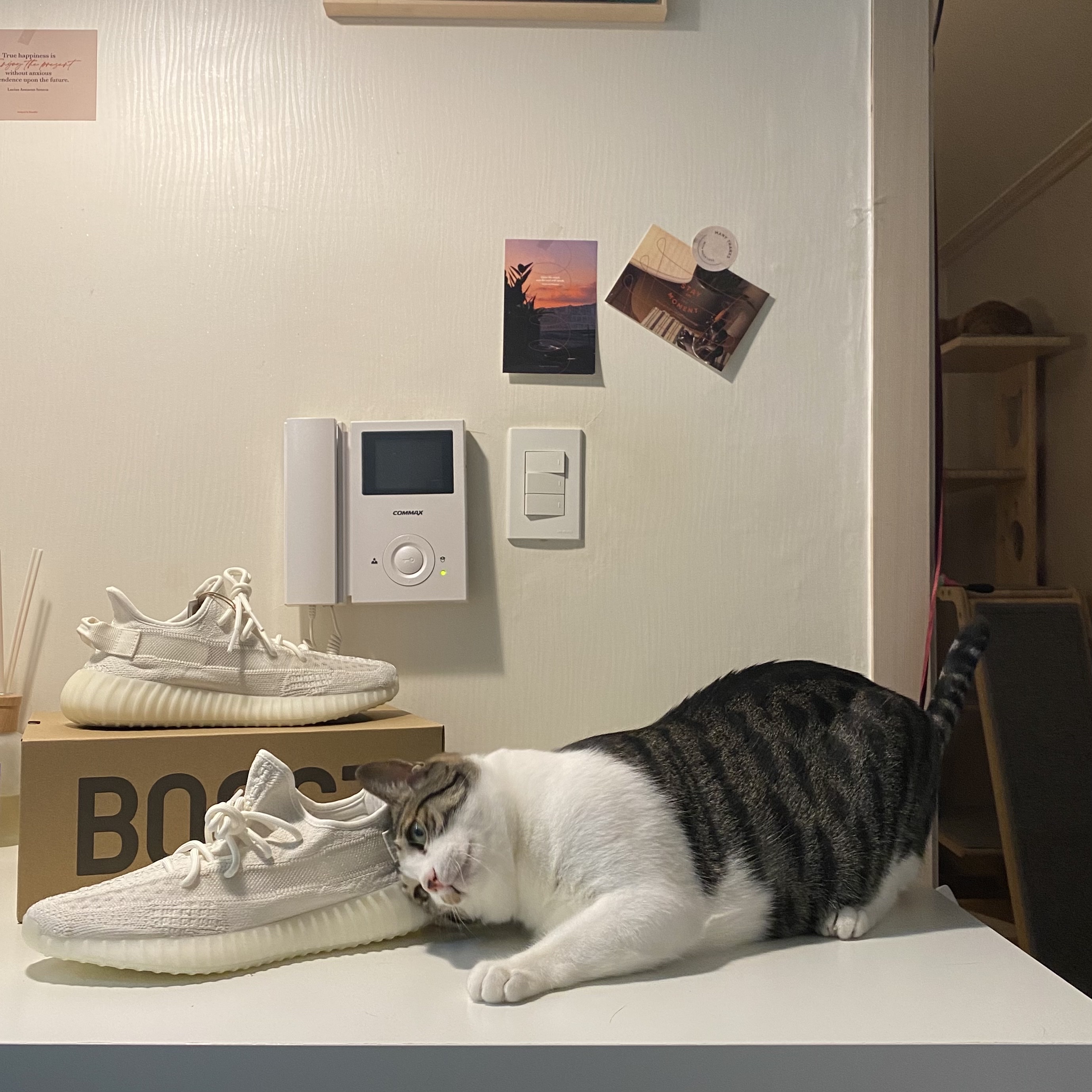 Adidas Yeezy Boost 350 V2 Bone 착용 스타일 - 2