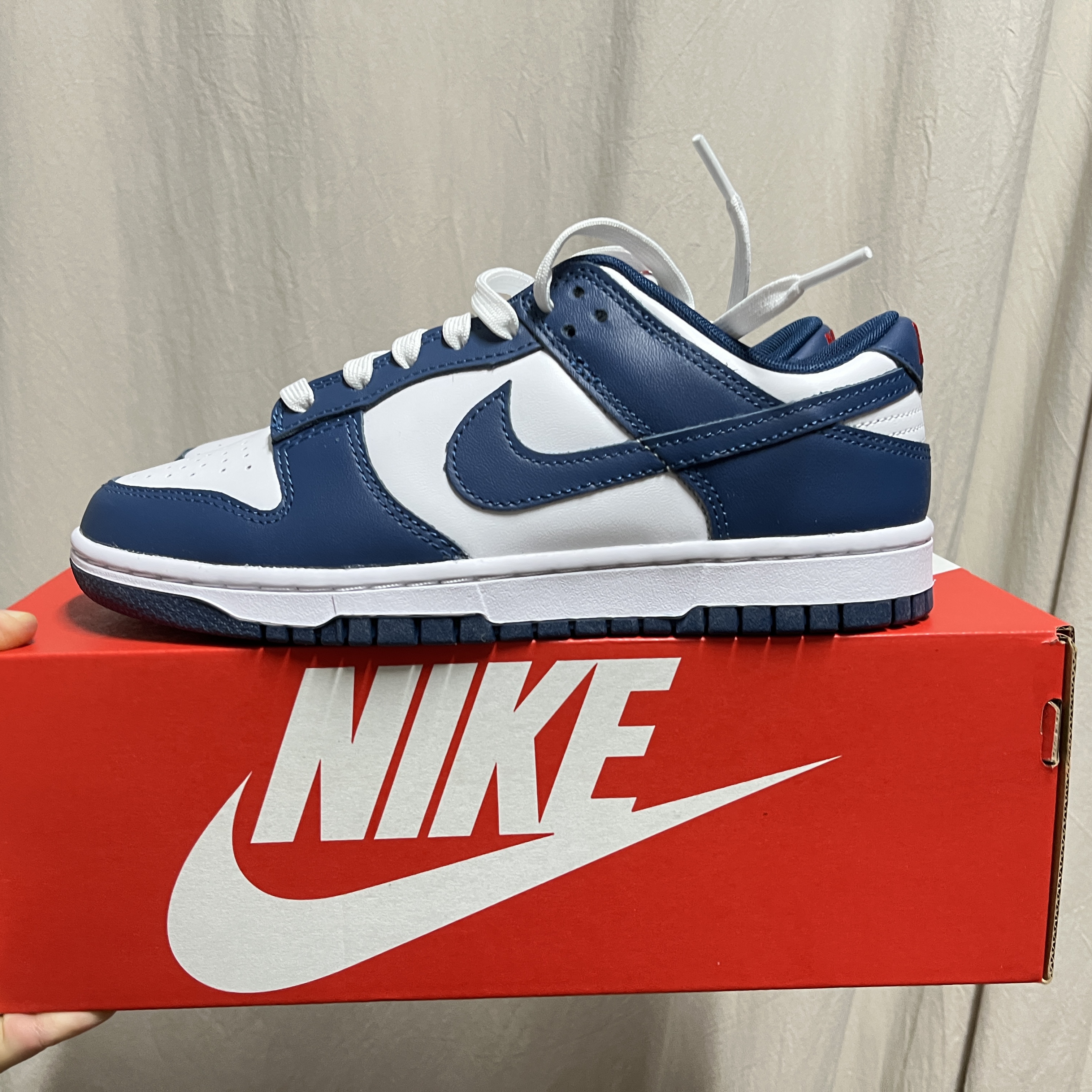 Nike Dunk Low Retro Valerian Blue 착용 스타일