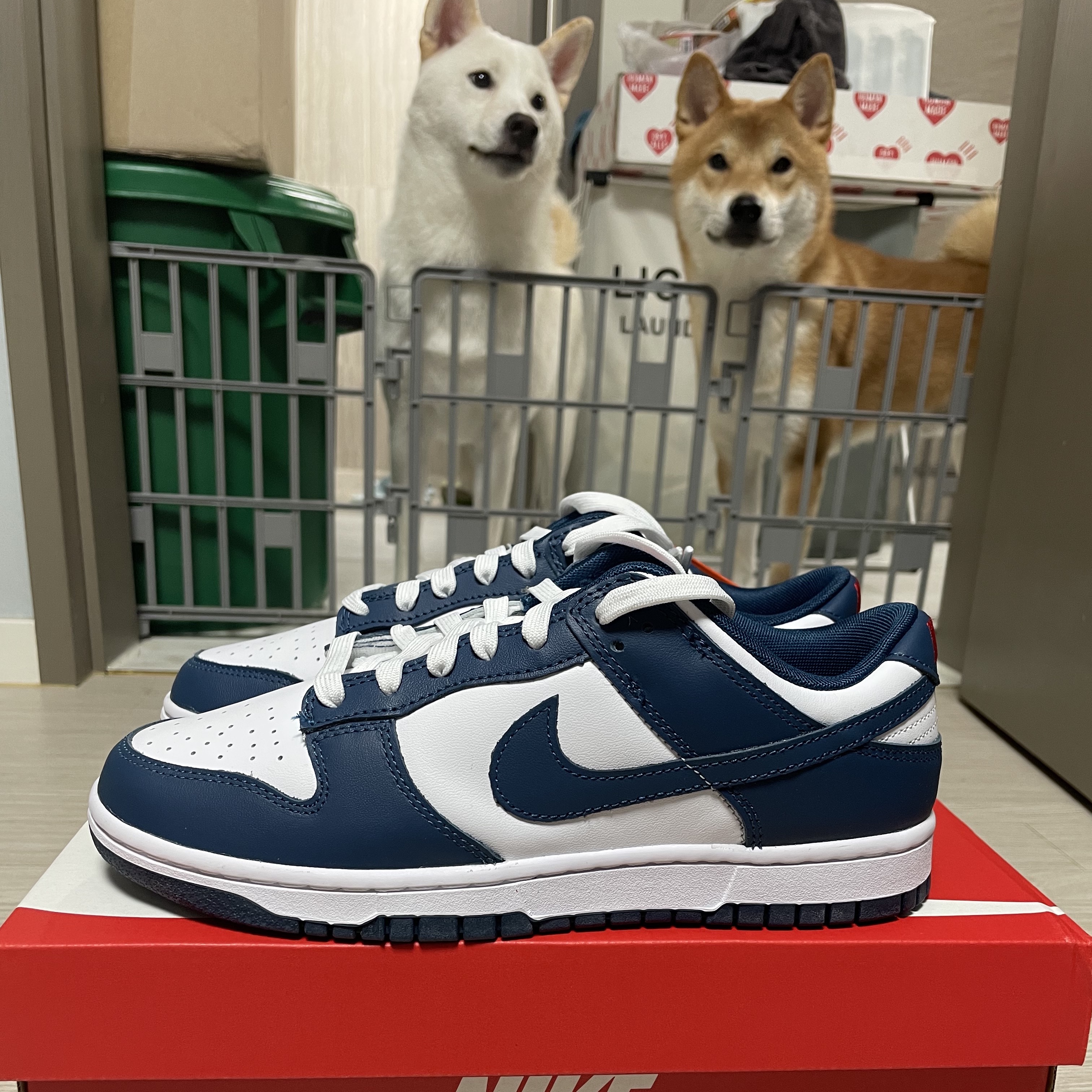 Nike Dunk Low Retro Valerian Blue 착용 스타일