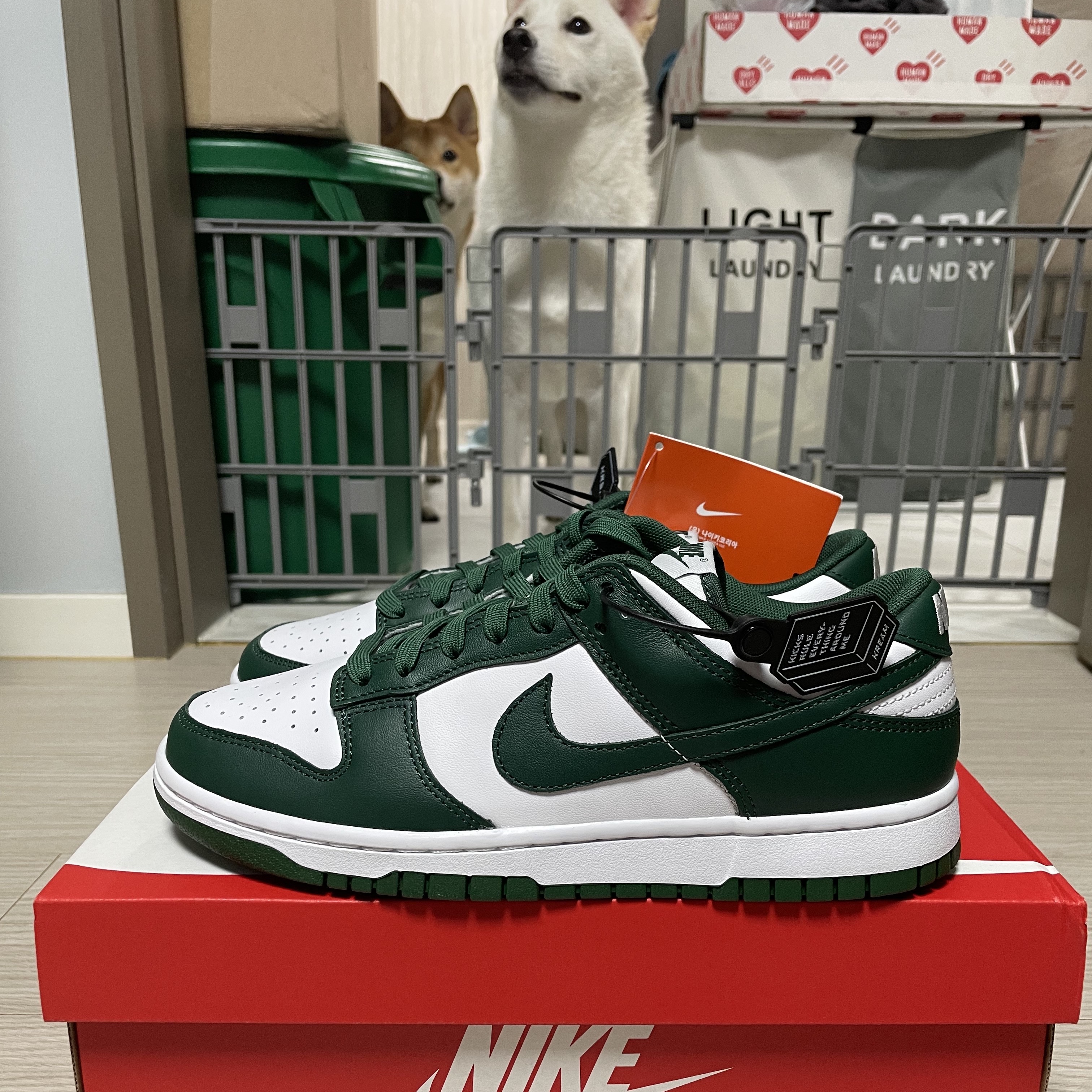 Nike Dunk Low Retro Varsity Green 착용 스타일