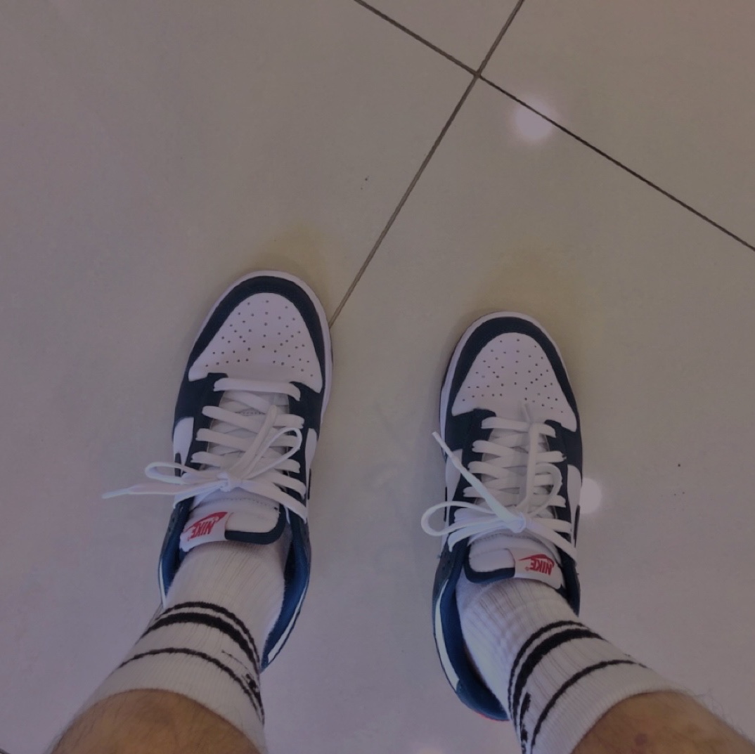 Nike Dunk Low Retro Valerian Blue 착용 스타일