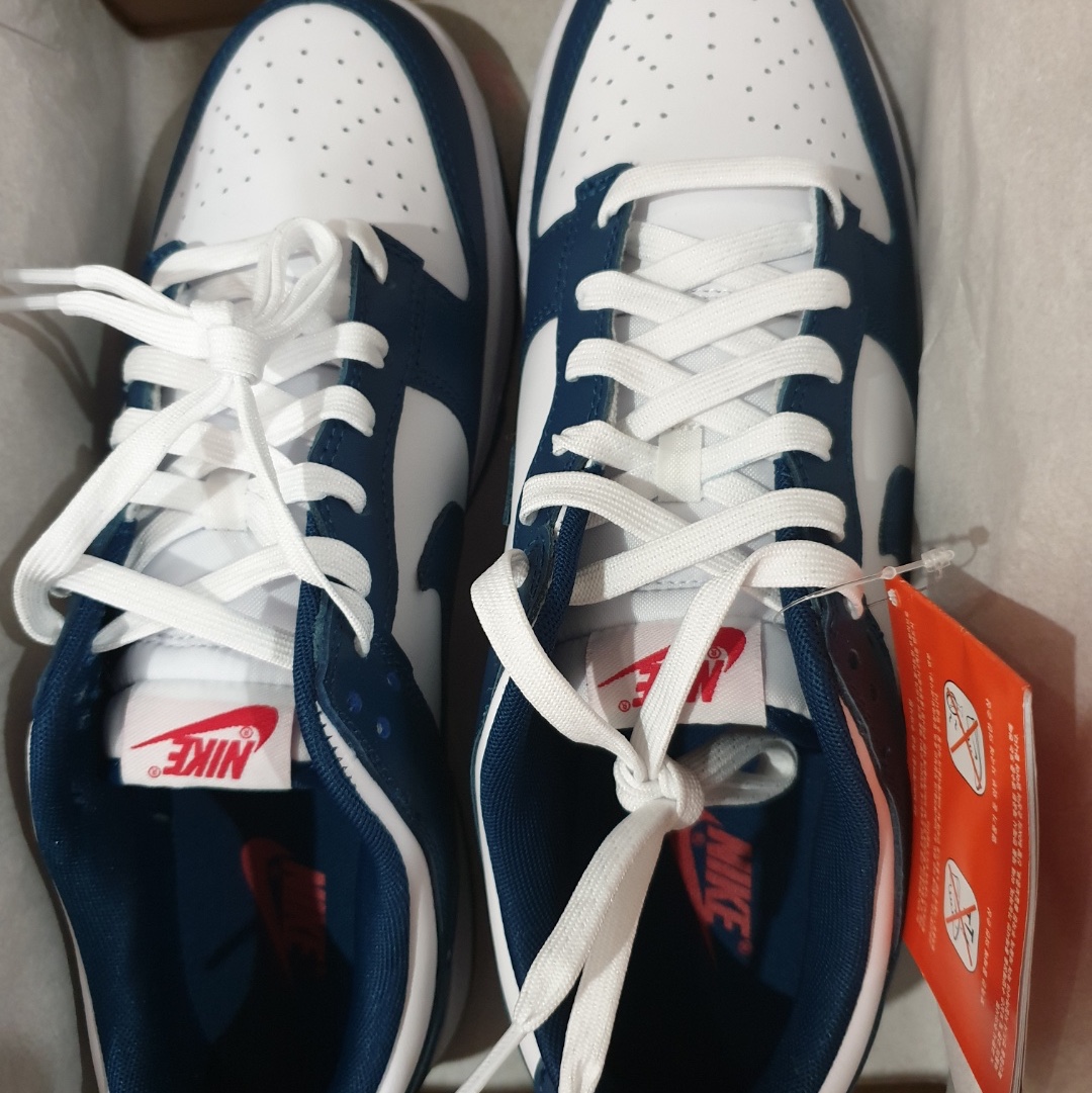 Nike Dunk Low Retro Valerian Blue 착용 스타일