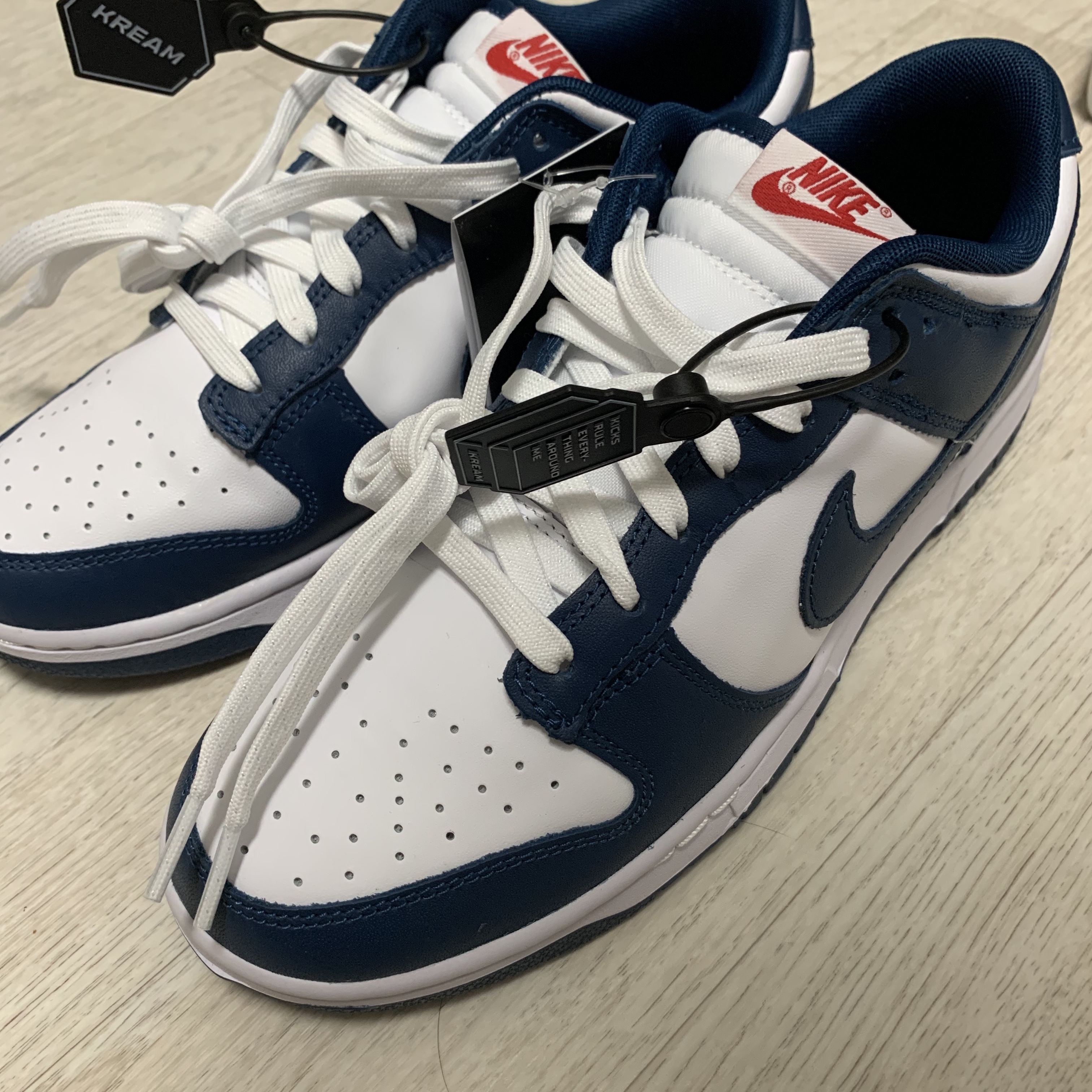 Nike Dunk Low Retro Valerian Blue 착용 스타일