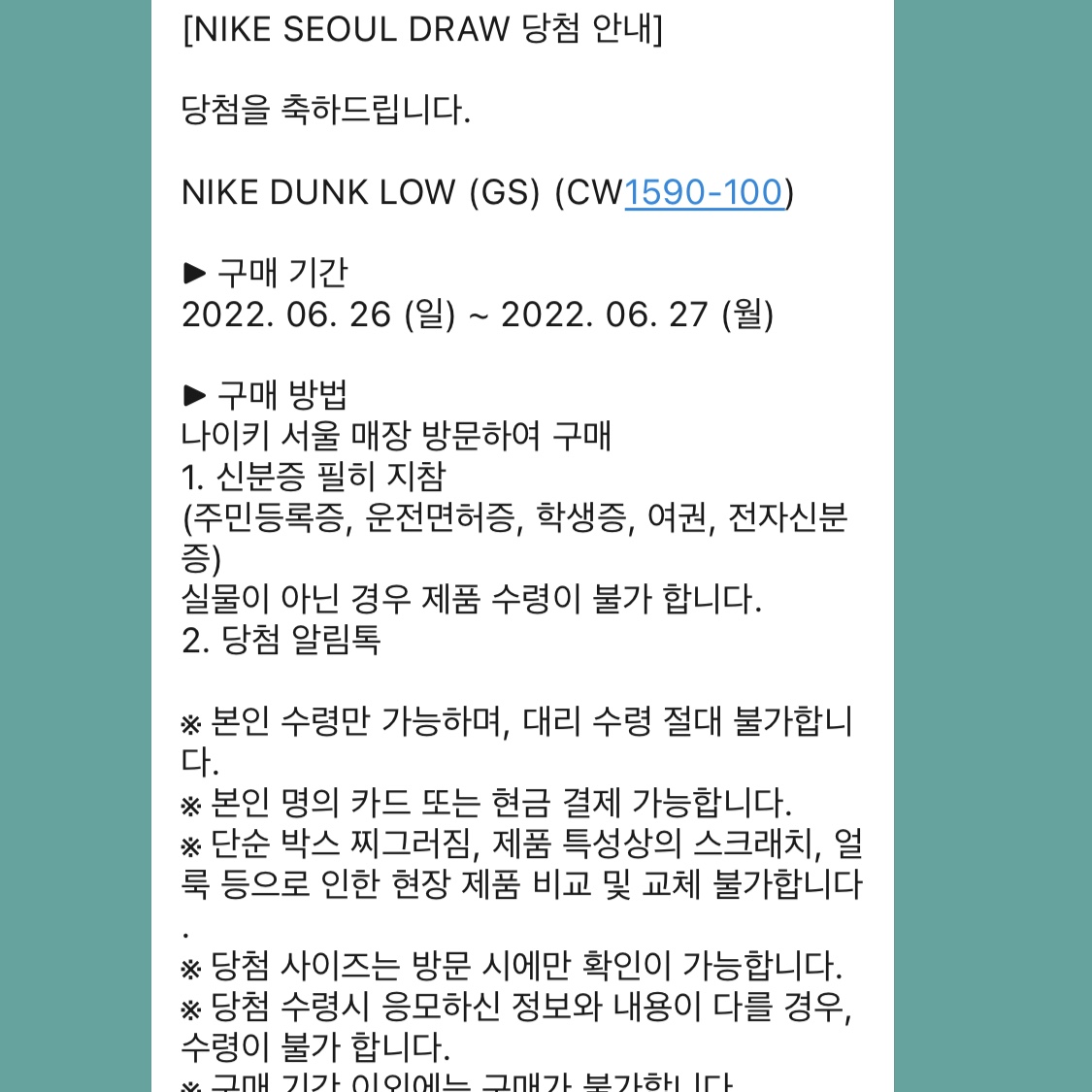 (GS) Nike Dunk Low Black 착용 스타일
