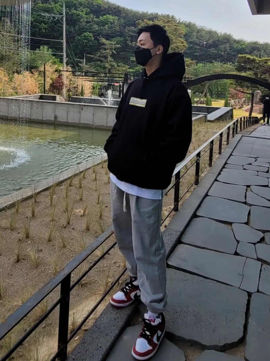Nike SB Dunk Low Pro Chicago, Supreme Bling Box Logo Hooded Sweatshirt Black - 22SS 착용 스타일