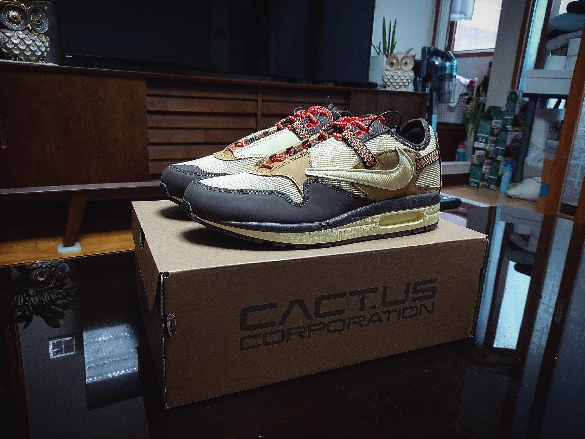 Nike x Travis Scott Air Max 1 Cact.us Brown 착용 스타일
