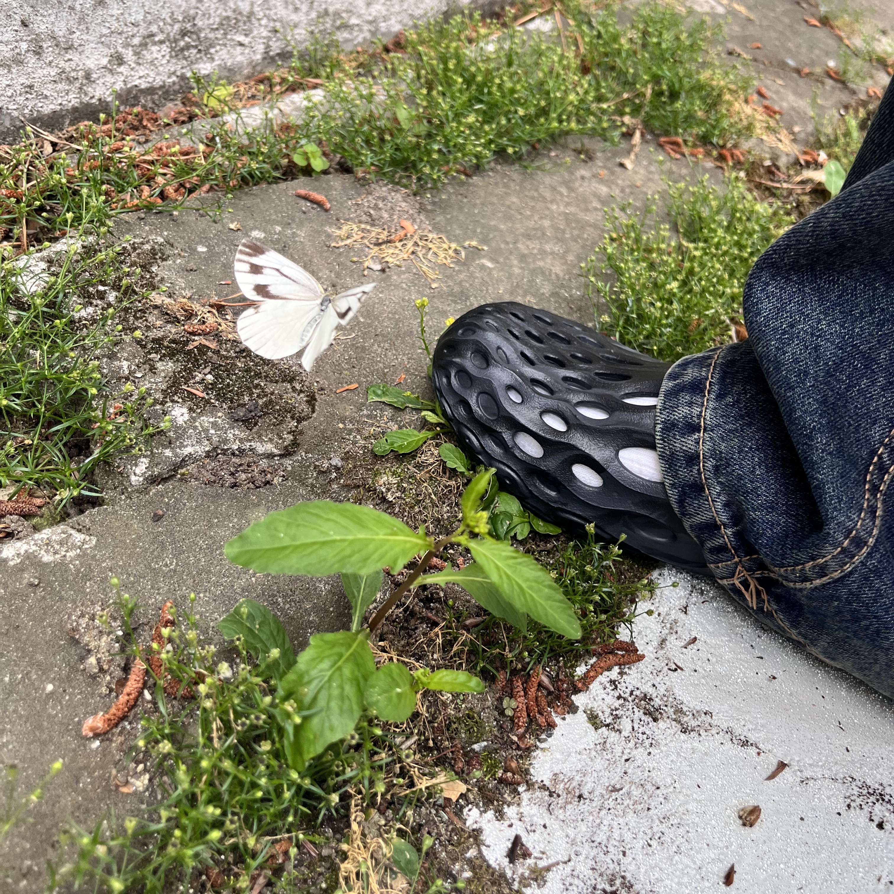 (W) Merrell Hydro Moc Black 착용 스타일 - 4