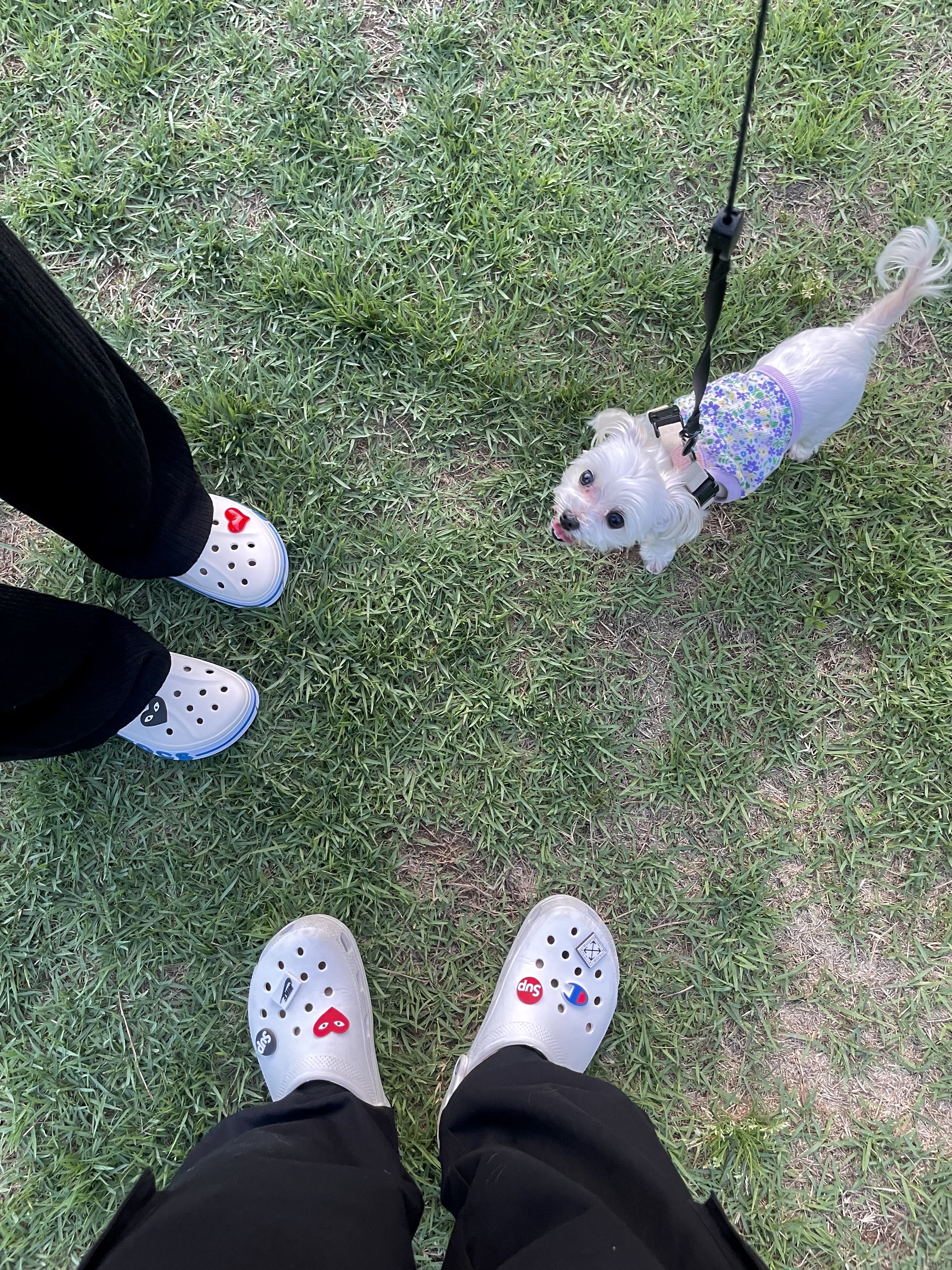 Crocs Classic Clog White, Crocs Classic Clog Stucco 착용 스타일 - 3