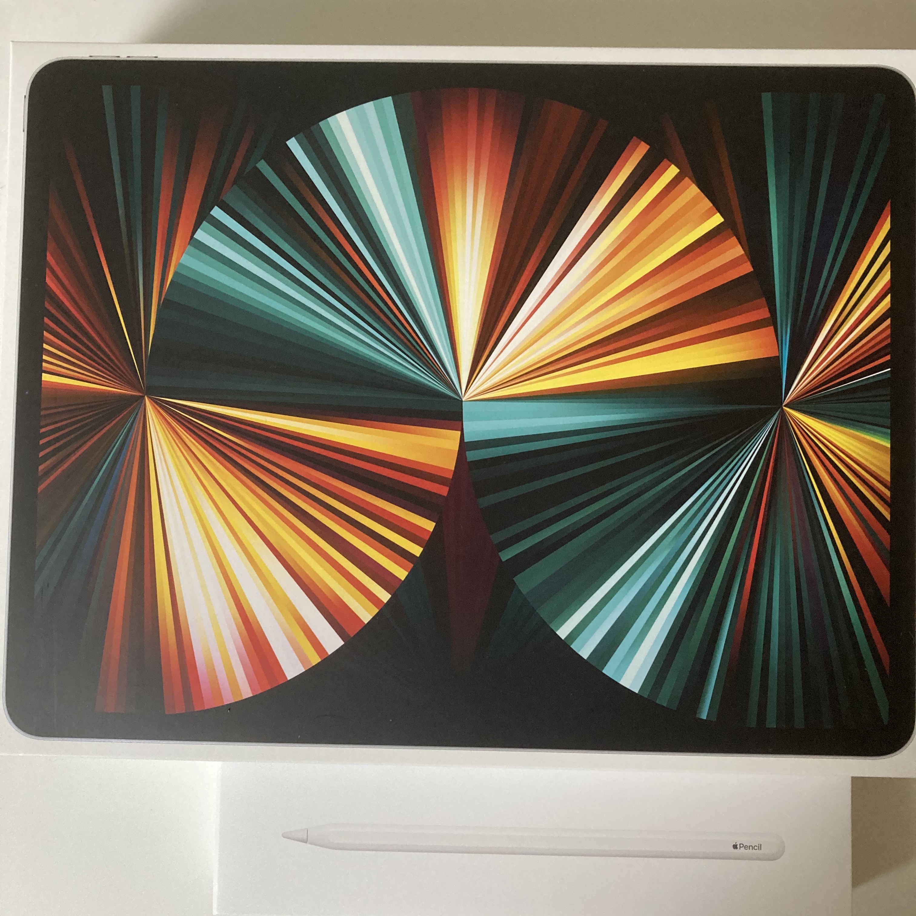 Apple iPad Pro 5th Gen 12.9-inch Wifi 128GB Silver (Korean Ver.), Apple Pencil 2nd Gen 착용 스타일 - 1