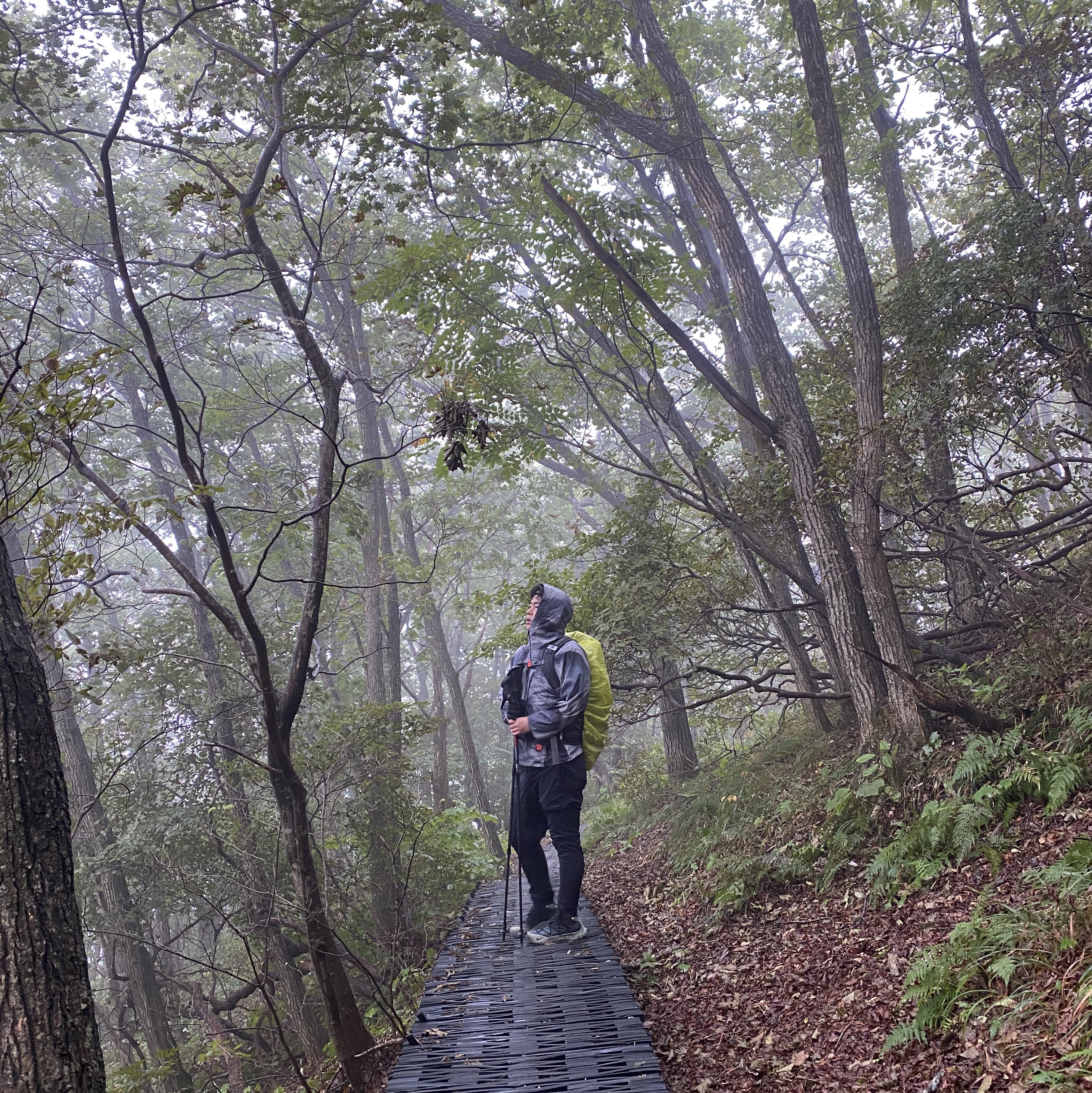 Nike ACG Terra Antarktik Gore-Tex Juniper Fog 착용 스타일 - 1