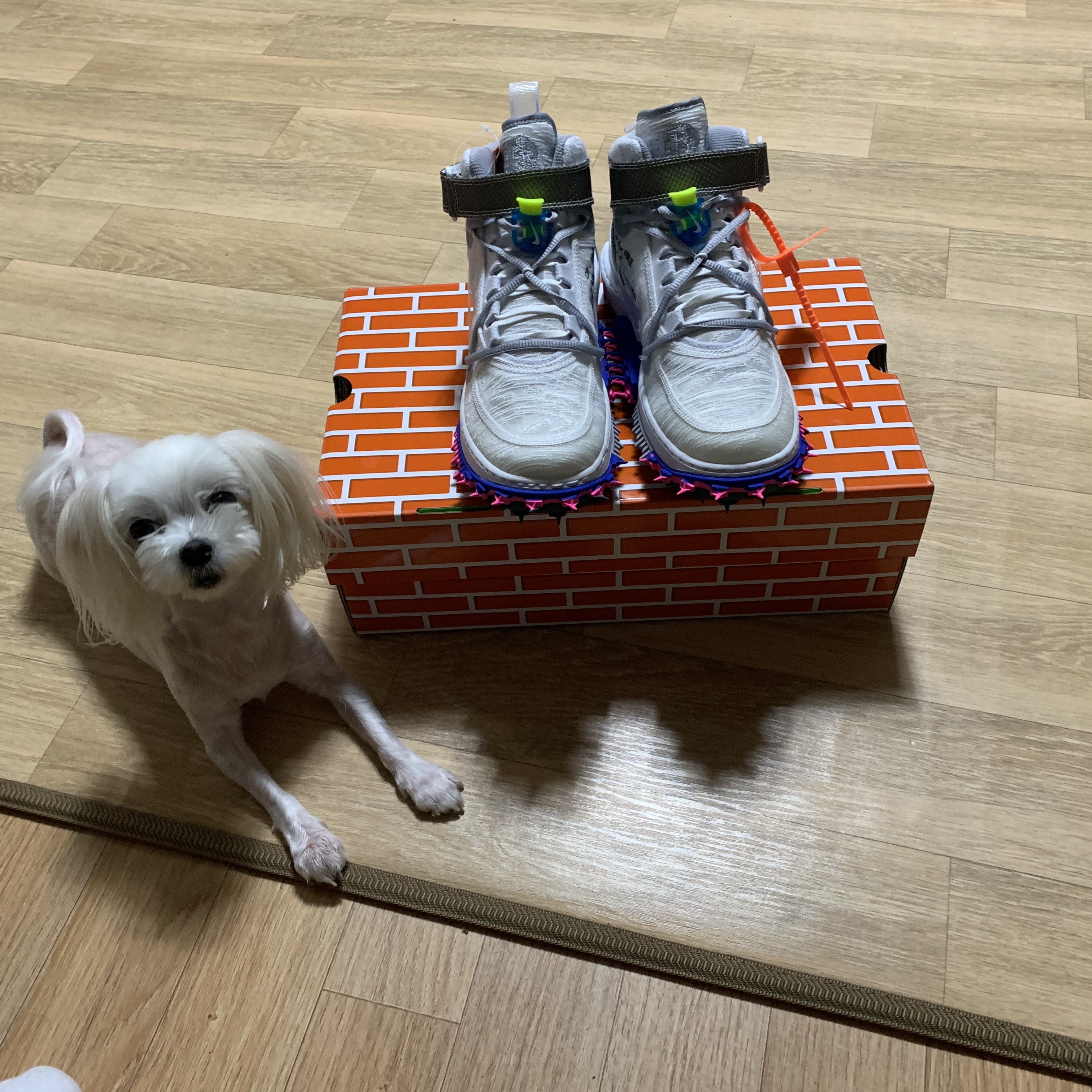Nike x Off-White Air Force 1 Mid SP White 착용 스타일 - 1