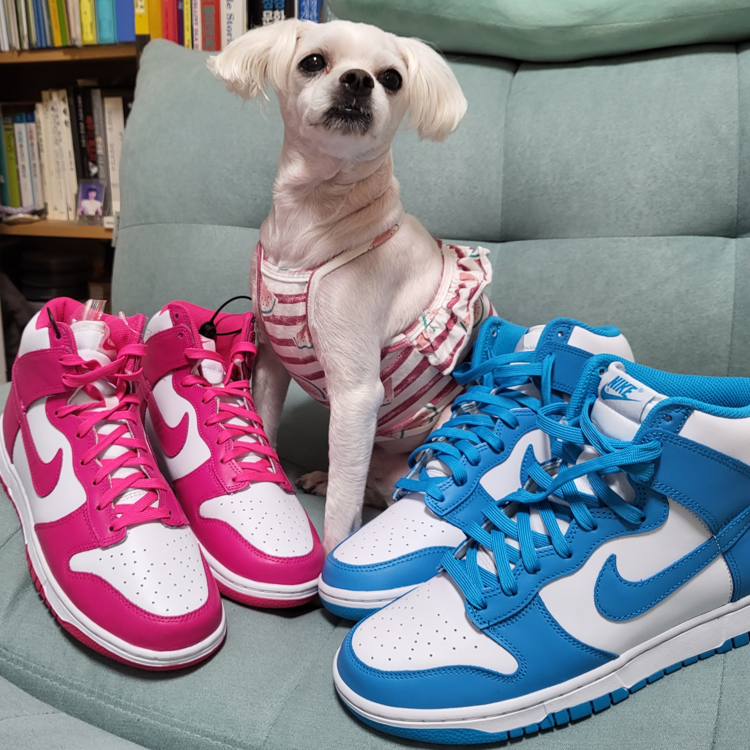 Nike Dunk High Retro Championship Blue, (W) Nike Dunk High Pink Prime 착용 스타일