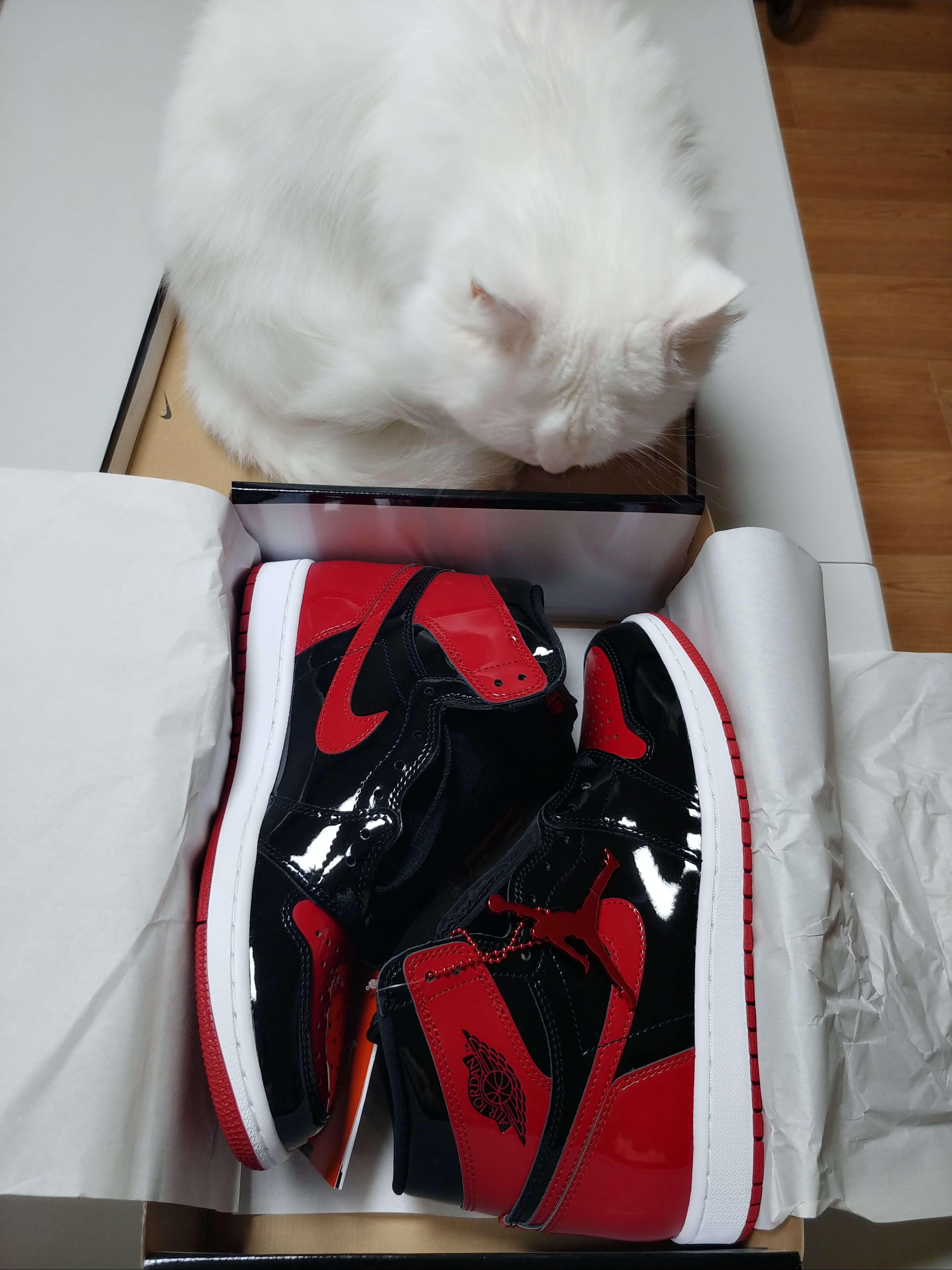 Jordan 1 Retro High OG Patent Bred 착용 스타일 - 1