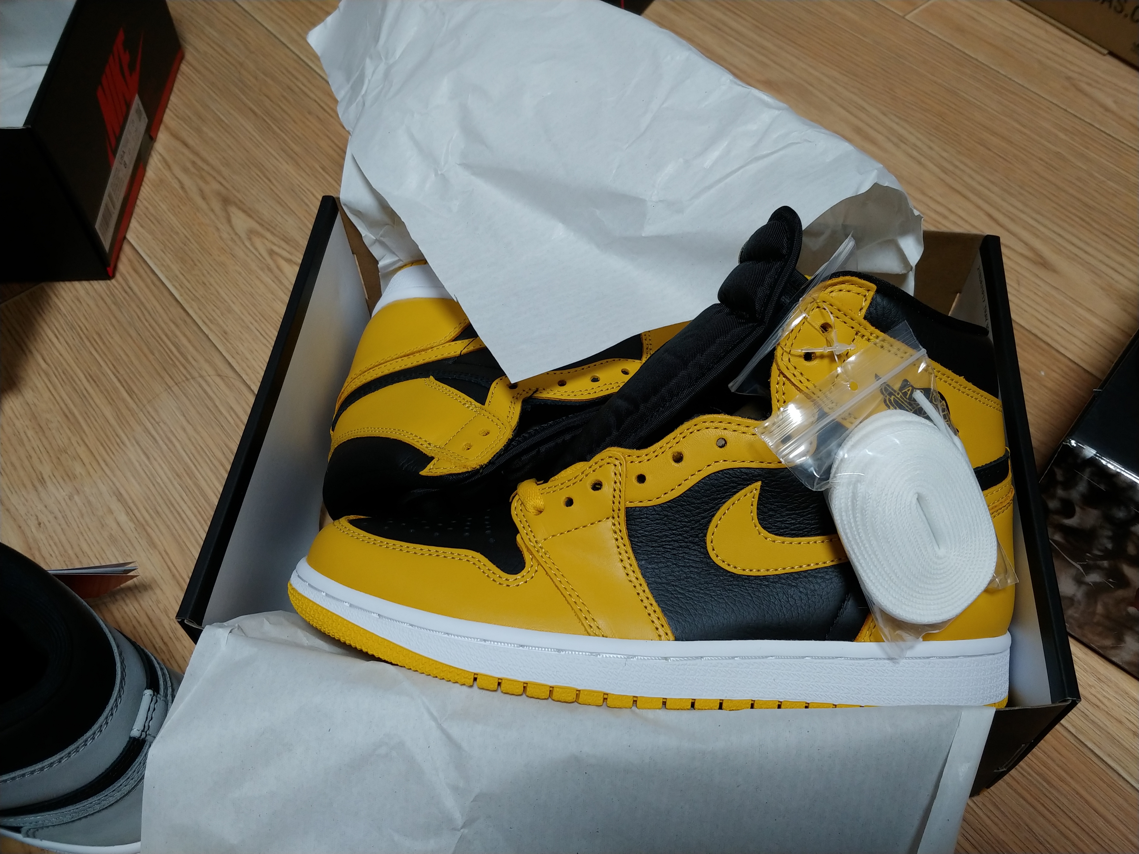 Jordan 1 Retro High OG Pollen 착용 스타일