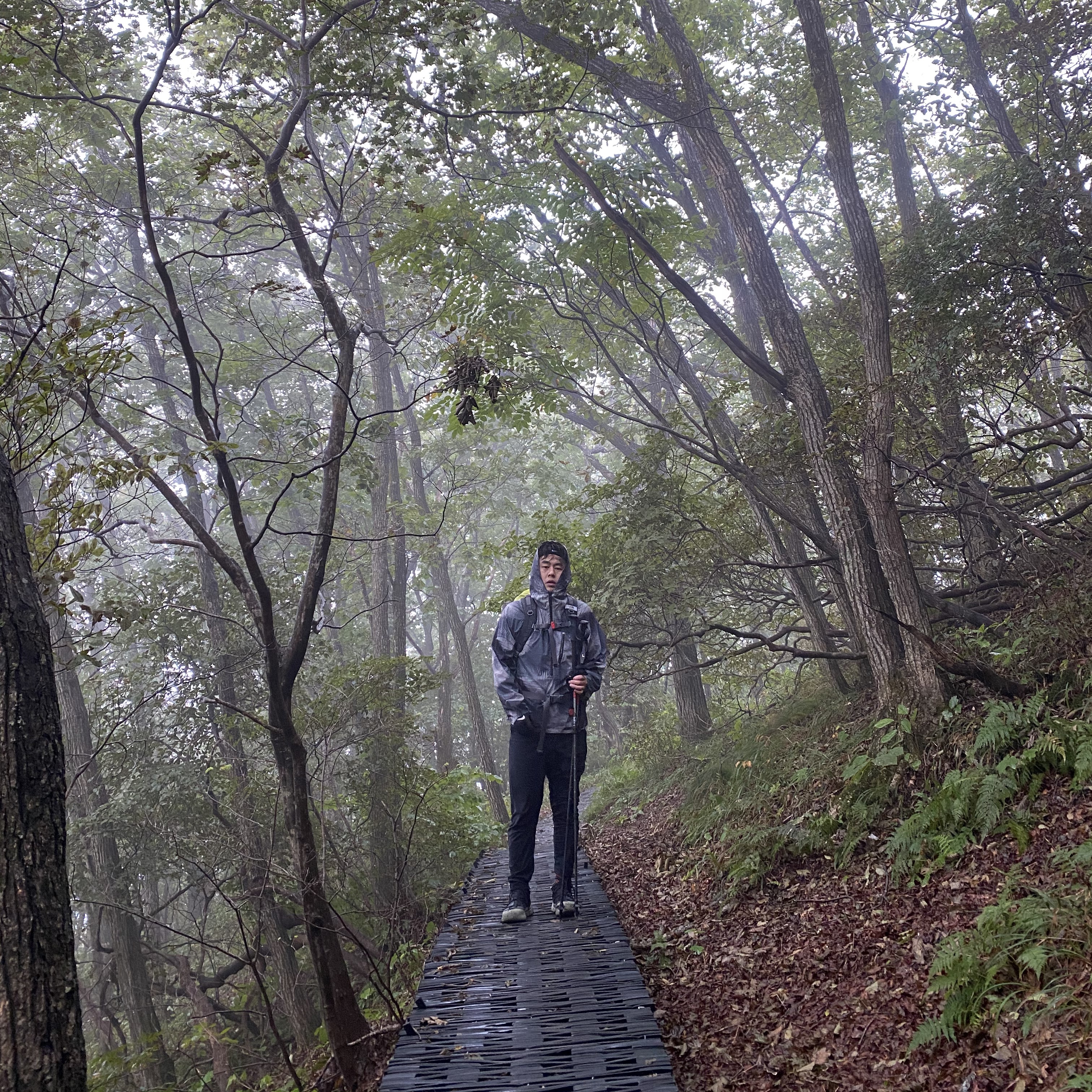 Nike ACG Terra Antarktik Gore-Tex Juniper Fog 착용 스타일 - 2