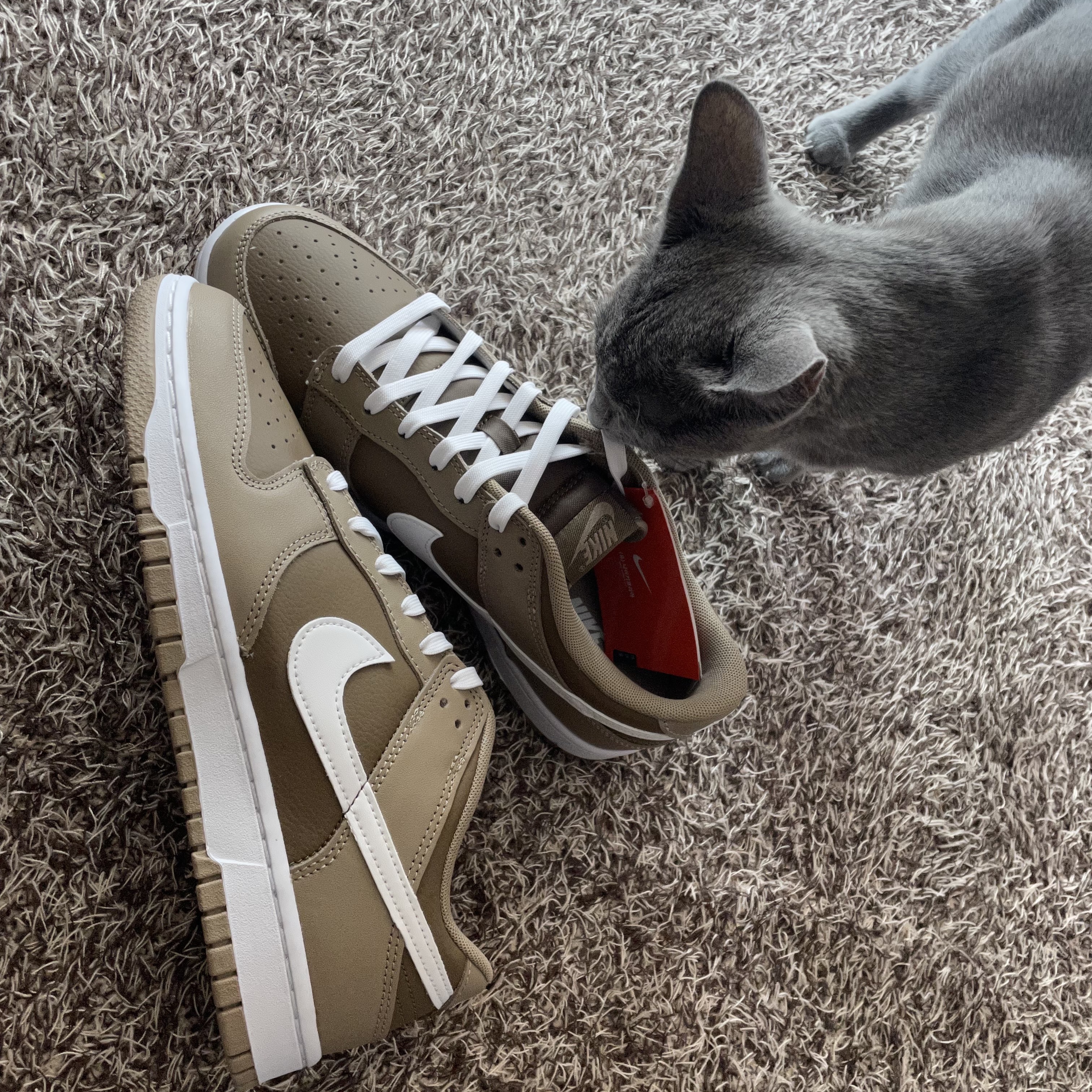 Nike Dunk Low Retro Khaki Hazel Rush 착용 스타일 - 1