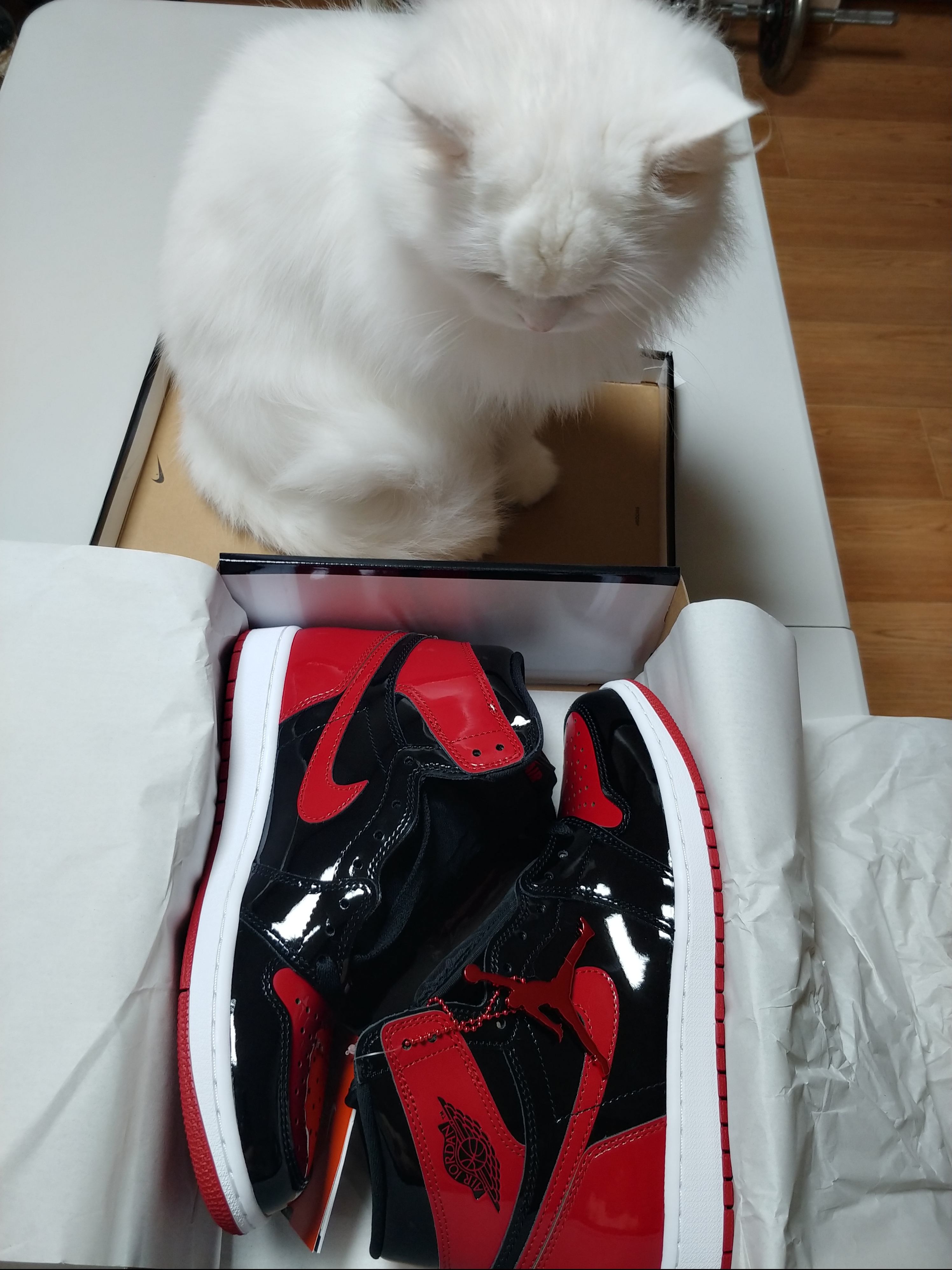 Jordan 1 Retro High OG Patent Bred 착용 스타일 - 2