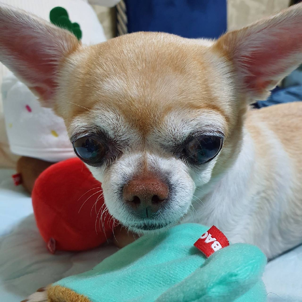 관심 유저 프로필 이미지