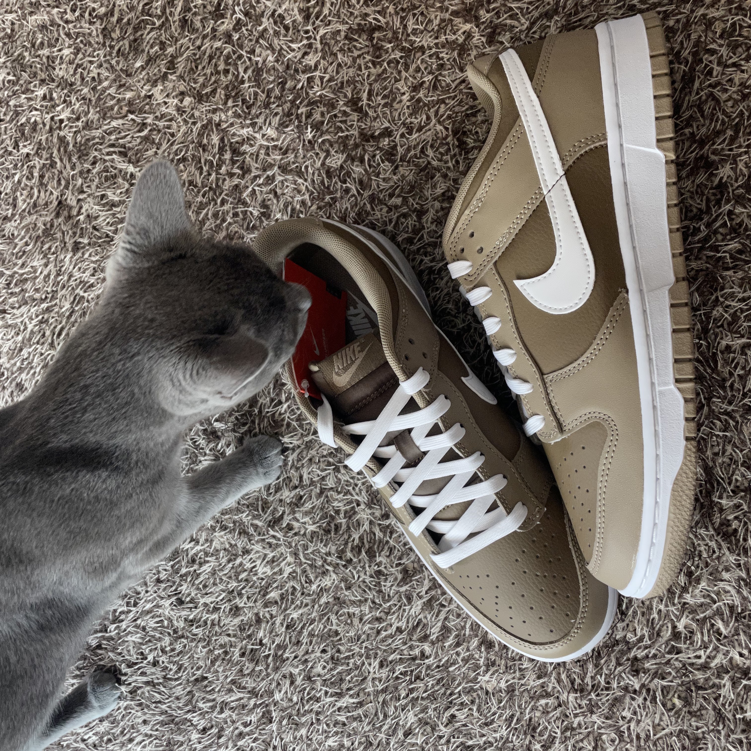 Nike Dunk Low Retro Khaki Hazel Rush 착용 스타일 - 2