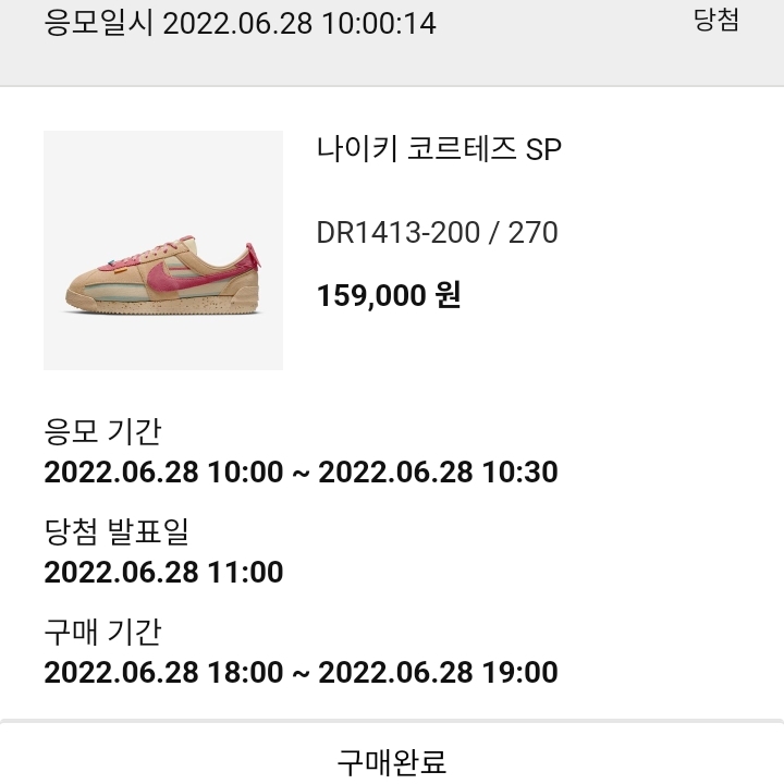 Nike x Union Cortez SP Sesame 착용 스타일