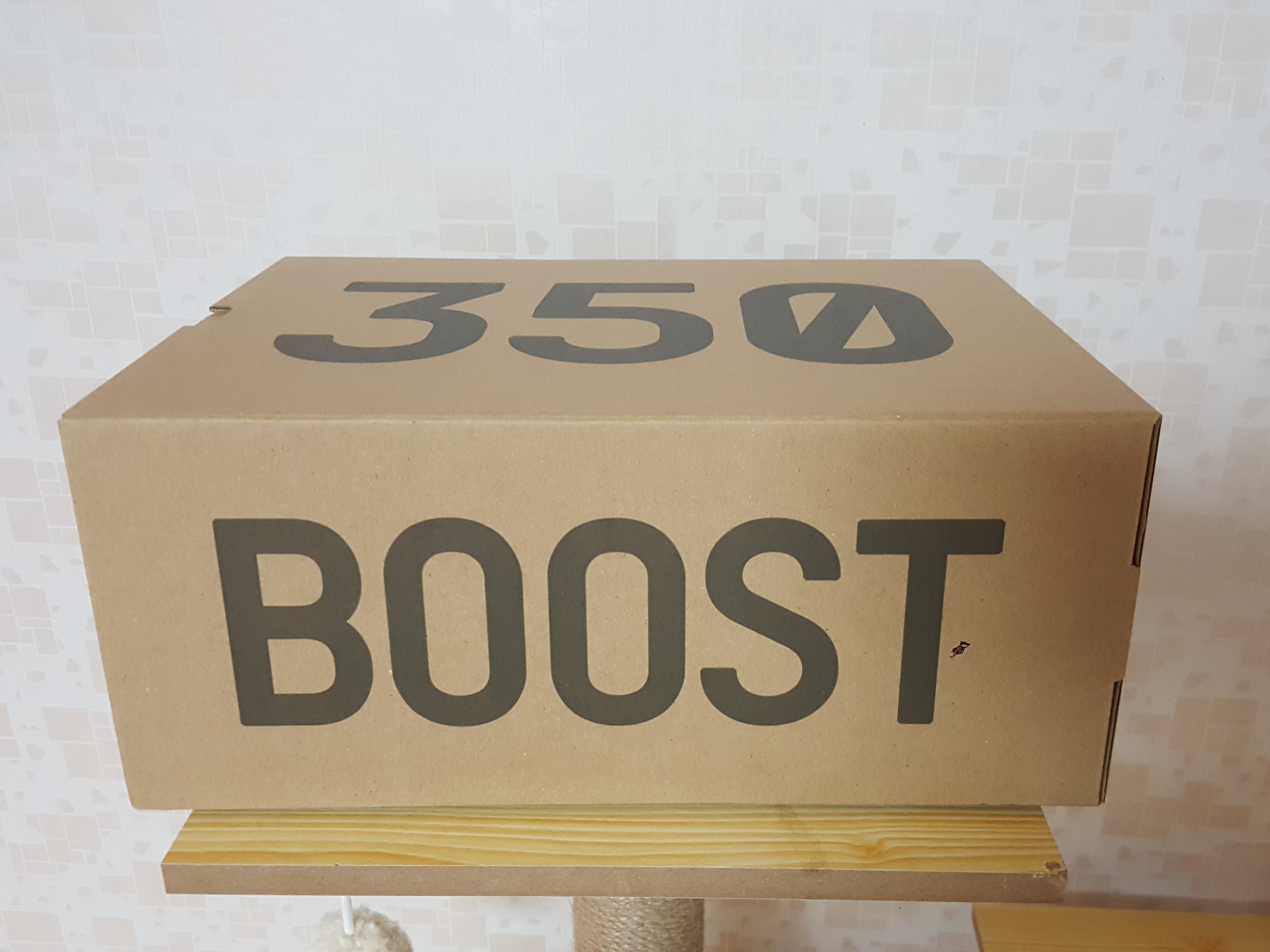 Adidas Yeezy Boost 350 V2 MX Oat 착용 스타일 - 2