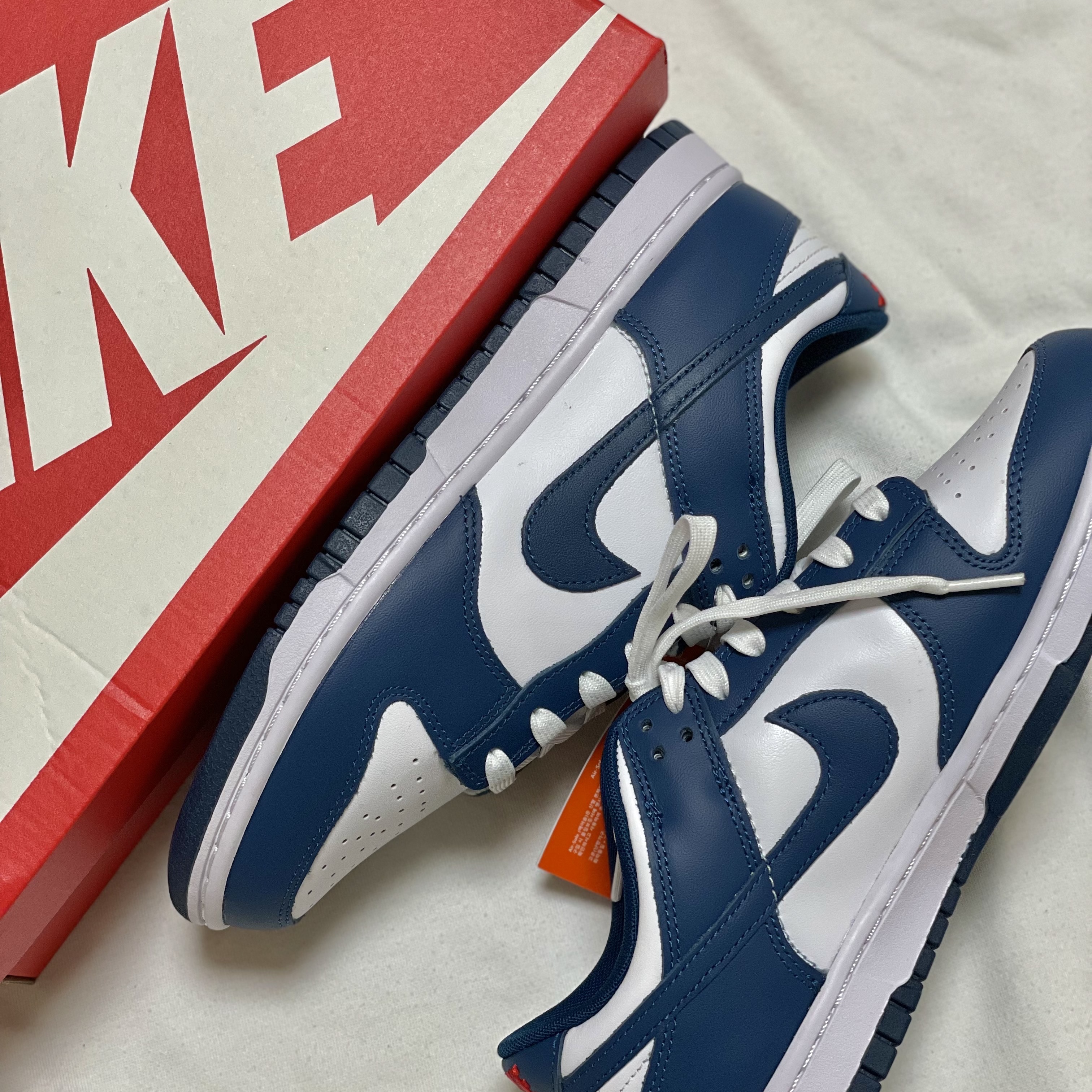 Nike Dunk Low Retro Valerian Blue 착용 스타일