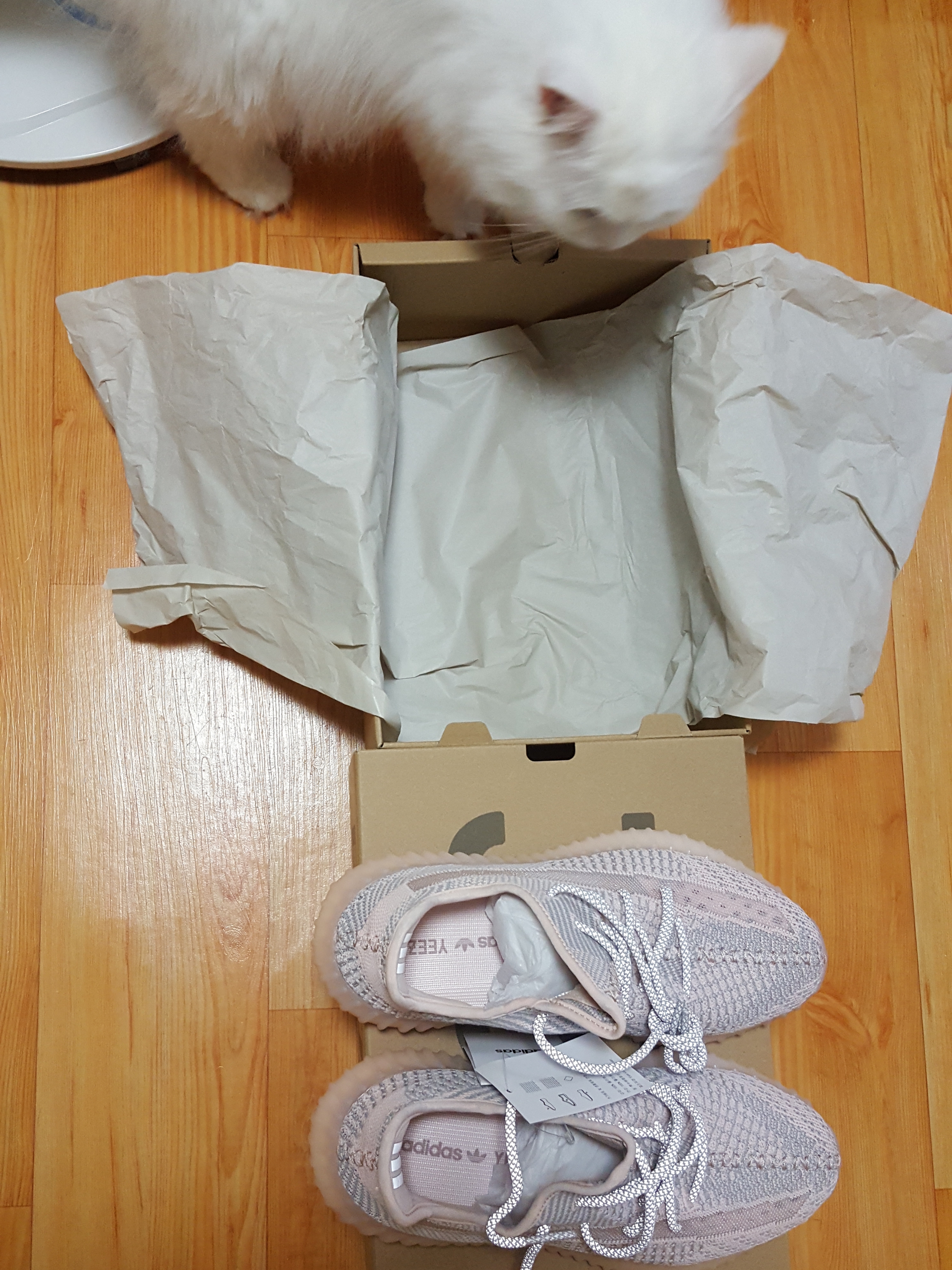 Adidas Yeezy Boost 350 V2 Synth - Non-Reflective 착용 스타일 - 4