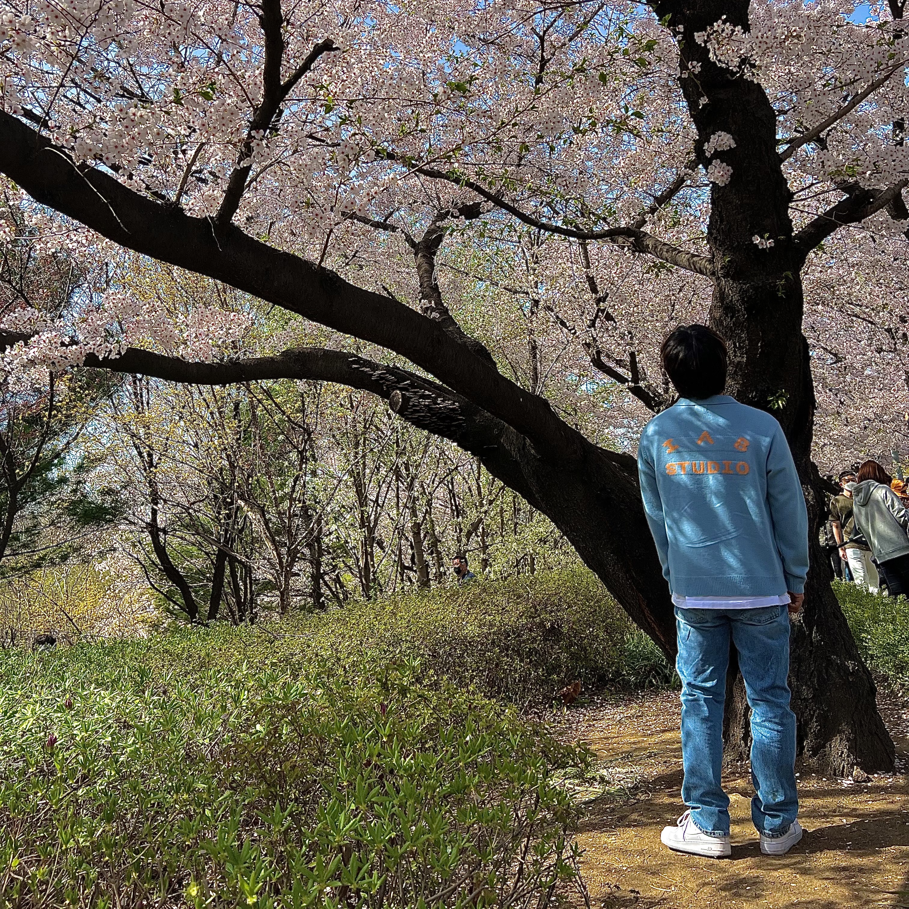 IAB Studio x Obey Archer Cardigan Blue 착용 스타일